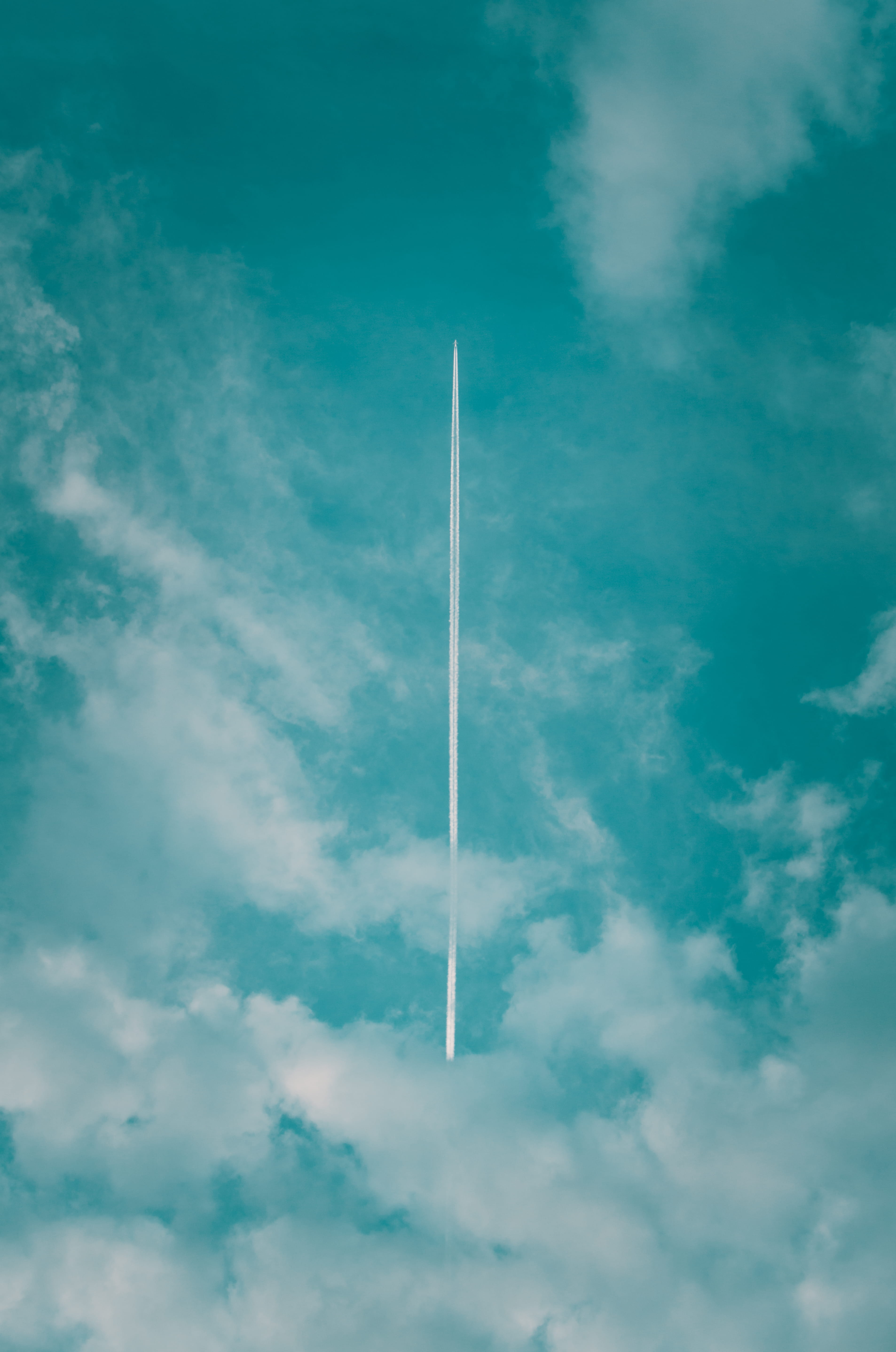 tranquil scene, rope, antenna, nature, white, bird, beauty in nature, motion, outdoors, cloud - sky, full frame, flying, bungee, 5K, sky, aerial view, Phone HD Wallpaper