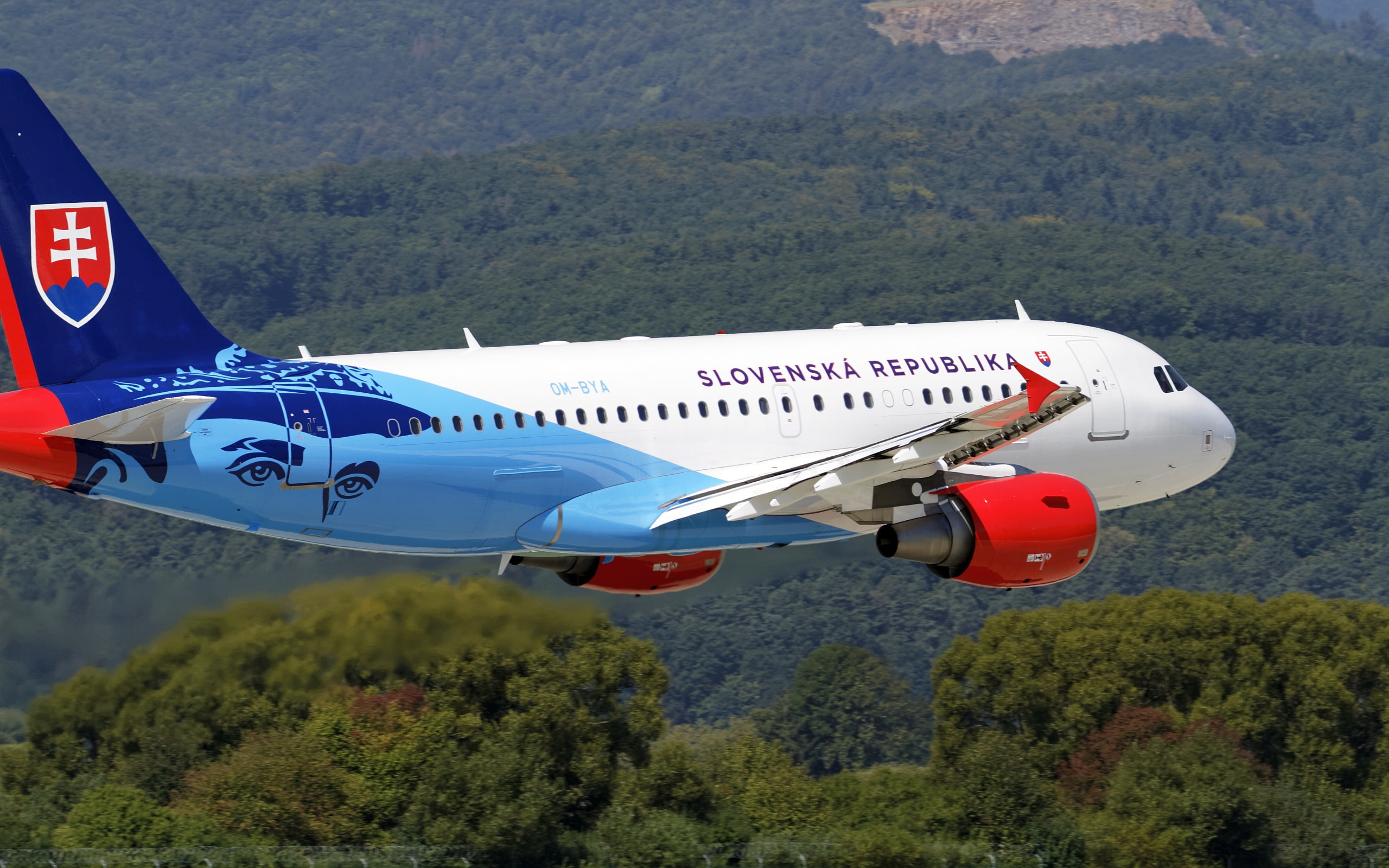 A319-115X, 2K, the rise, Airbus, the plane, HD Wallpaper