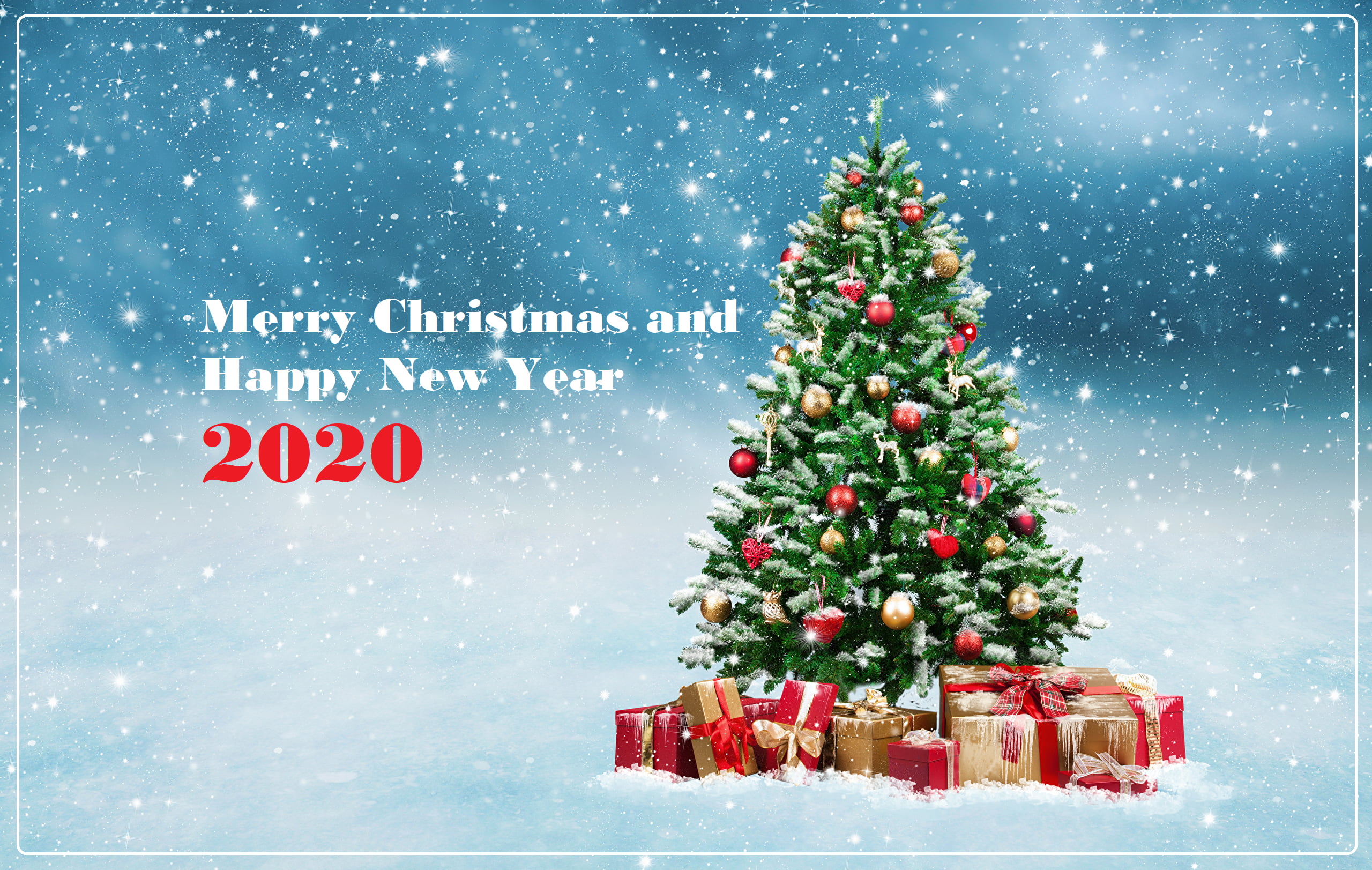 Happy New Year, 2K, Merry Christmas, Holiday, Christmas Tree, New Year 2020, HD Wallpaper