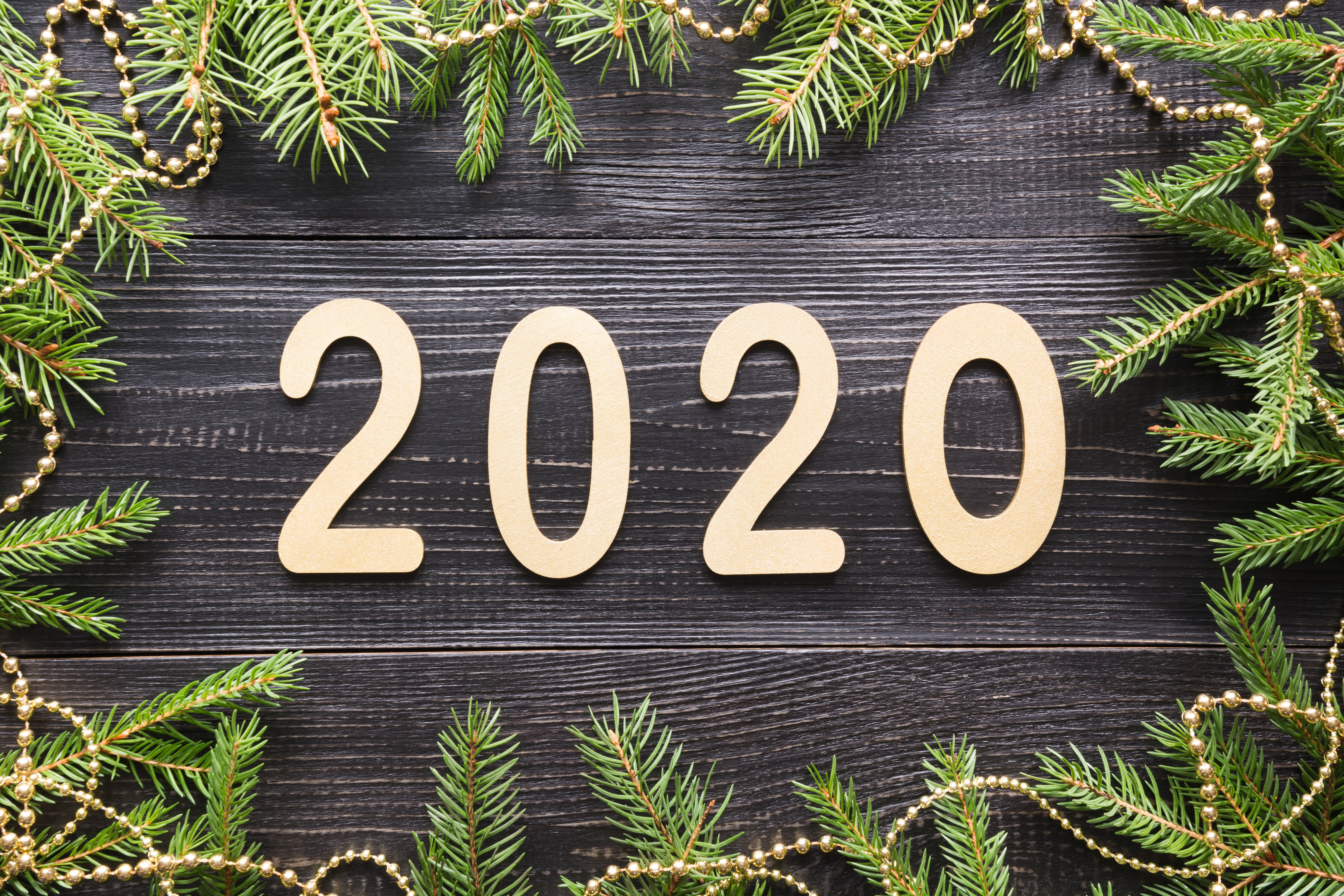 wood, 5K, Christmas, New Year, fir tree, merry, fir-tree branches, decoration, 2020, HD Wallpaper