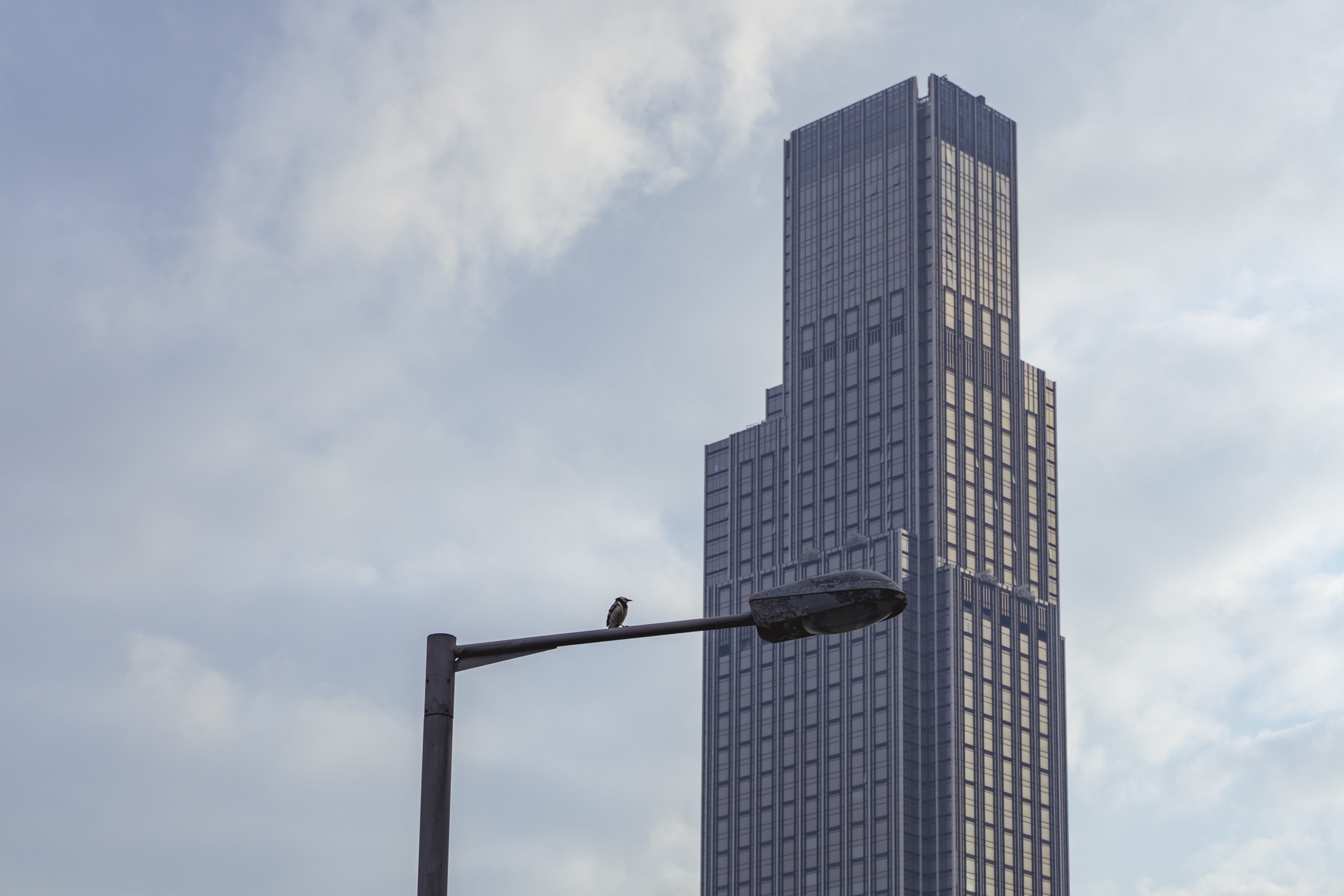 steel, gray, glass windows, travel, built structure, nature, skyline, lamppost, architectural design, low angle view, commercial building, cloud - sky, HD Wallpaper