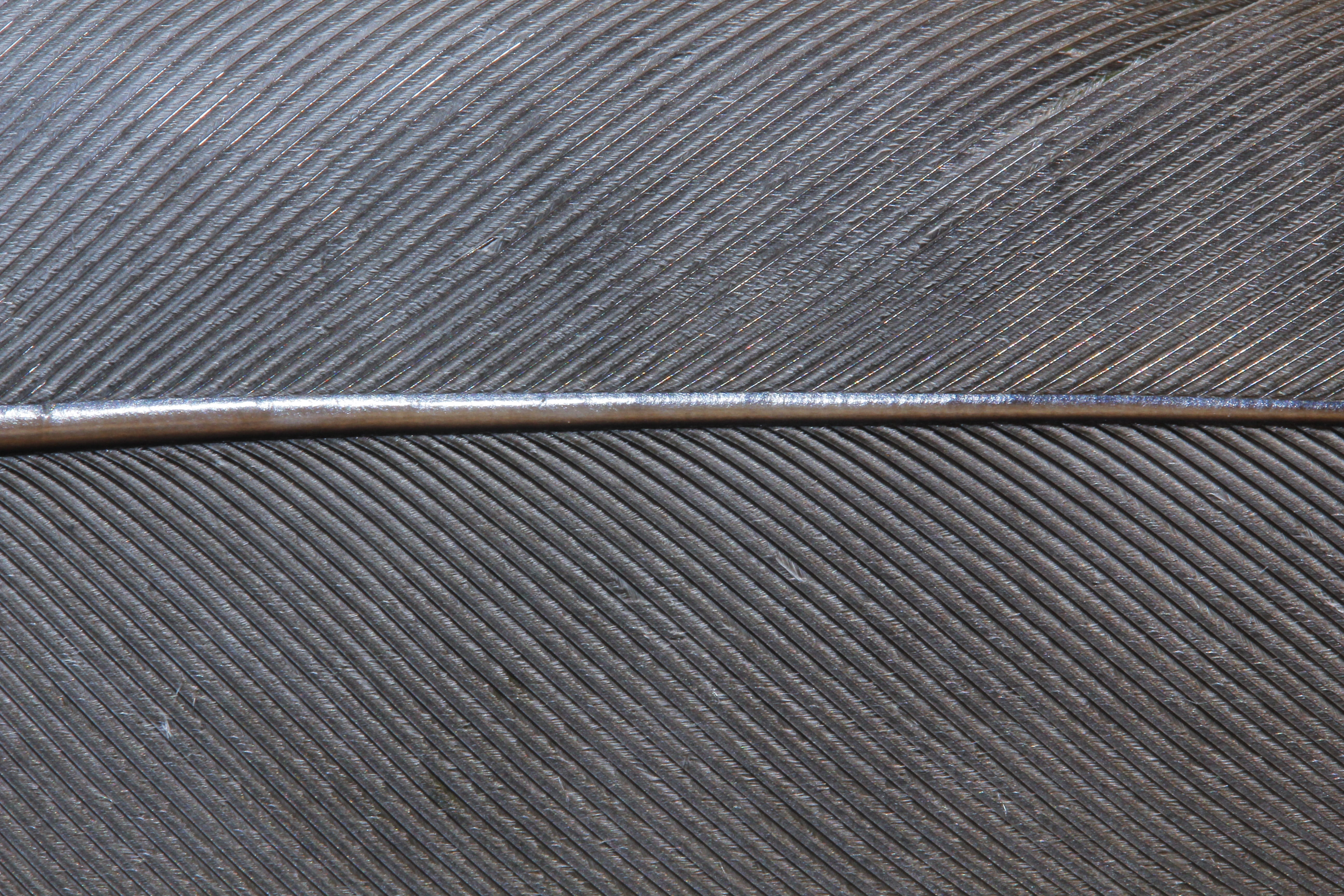 high angle view, outdoors, full frame, no people, silver colored, industry, pattern, textured, 5K, steel, gray, grey, close-up, close, alloy, steel spring, HD Wallpaper