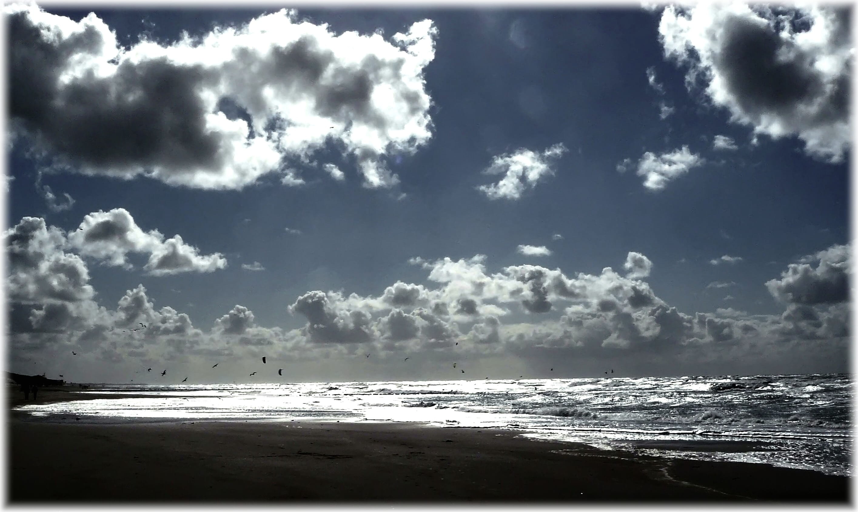 sun, drama, reflections, mirroring, sand, water, dramatic sky, gulls, horizon, wave, beach, cumulus, scenics - nature, birds, blue, weather mood, landscape, HD Wallpaper