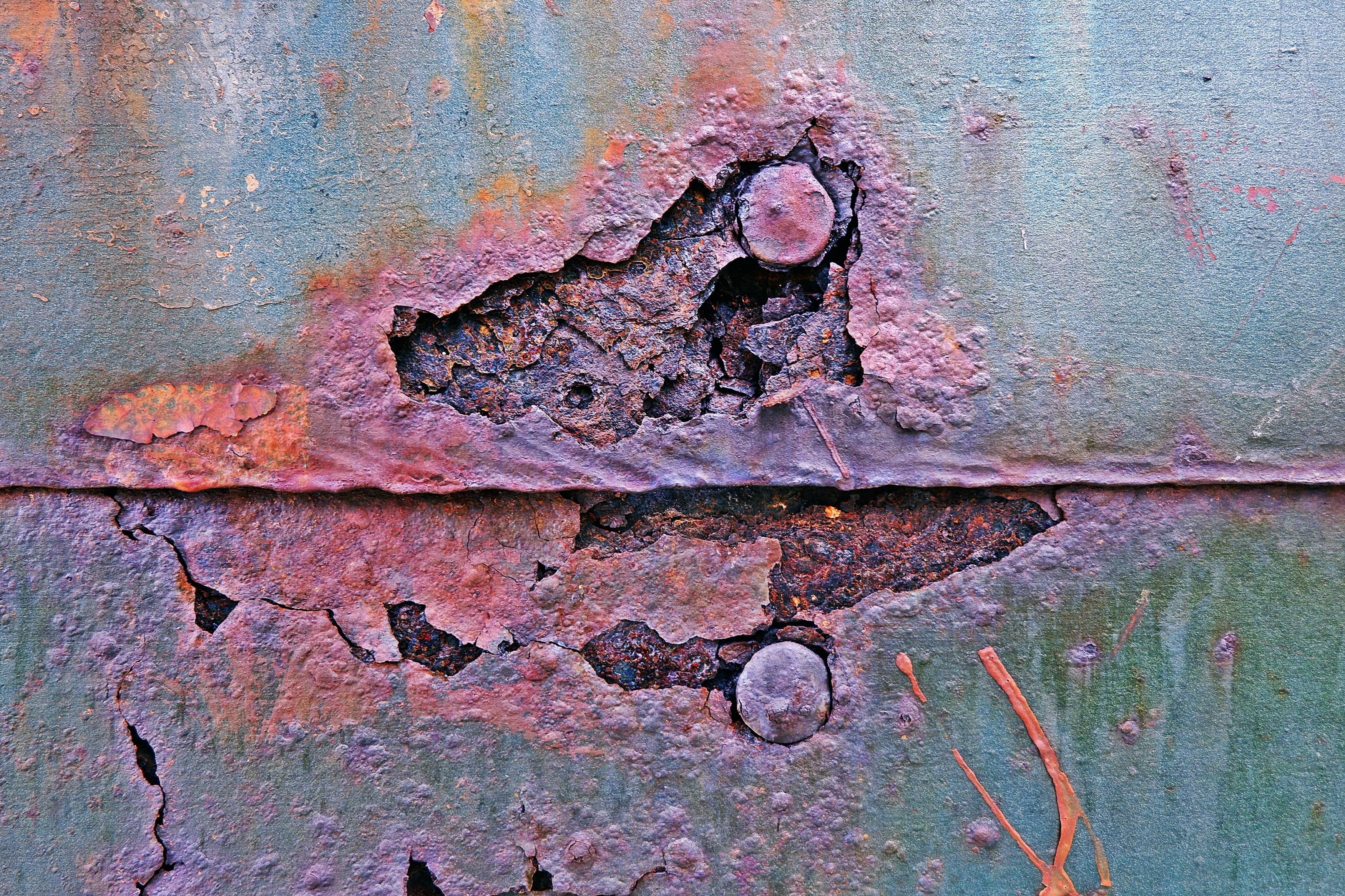 text, outdoors, seagull, close-up, bad condition, hole, steel, weathered, deterioration, decline, textured, rough, rust, full frame, texture, backgrounds, HD Wallpaper