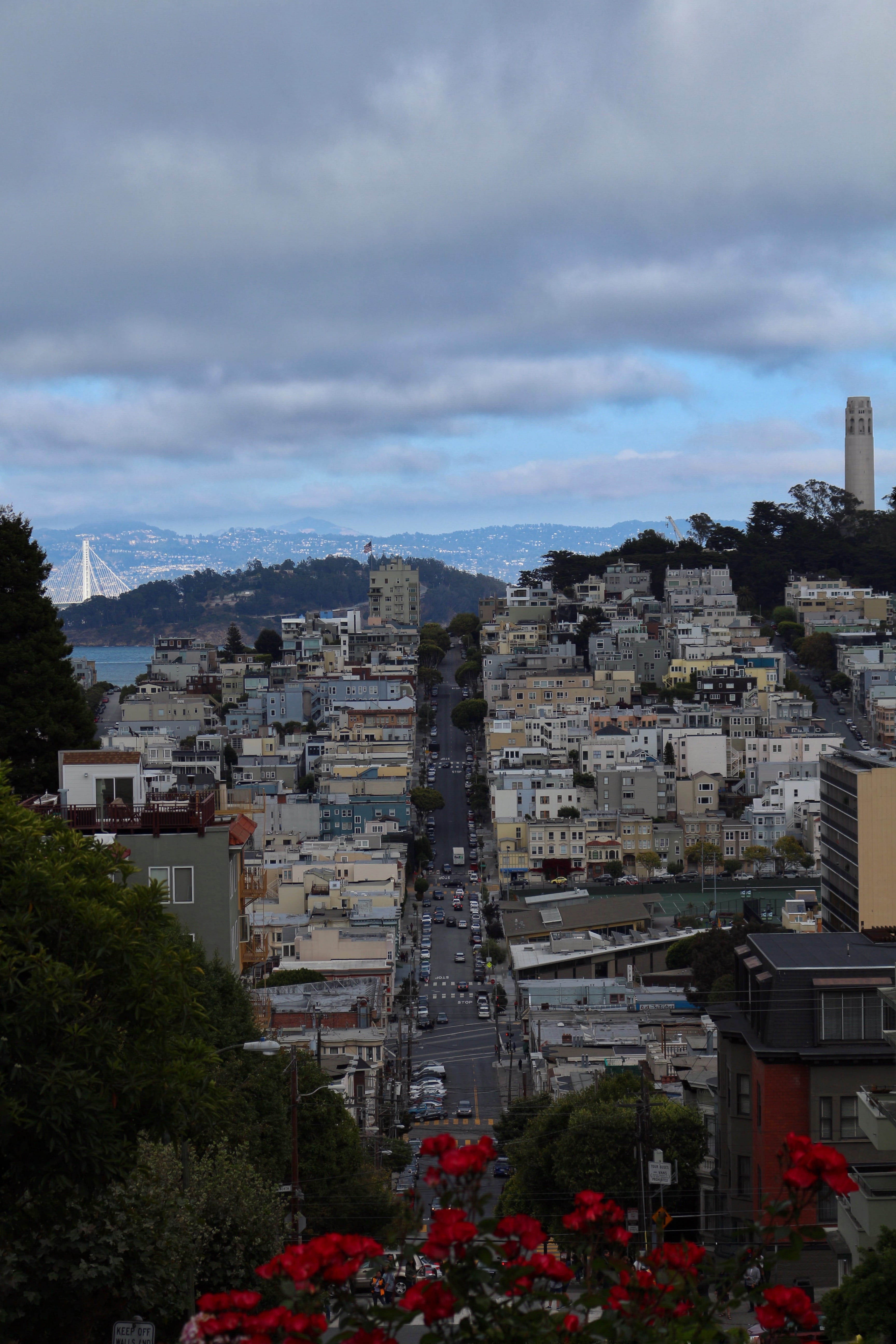 high angle view, 5K, house, town, cityscape, day, no people, street, san francisco, building, cloud - sky, flower, plant, lombard street, nature, city, Phone HD Wallpaper
