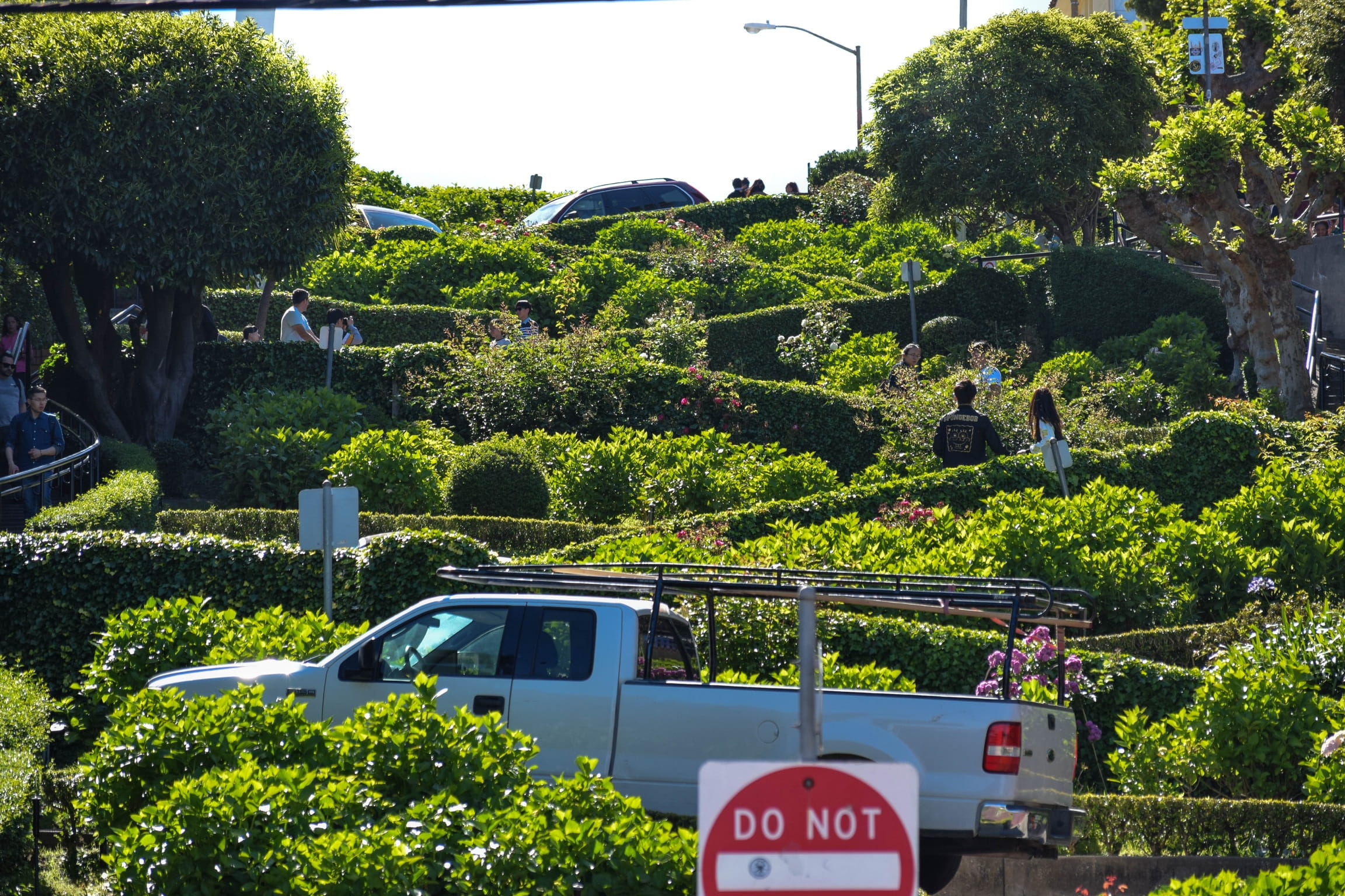 motor vehicle, urban, lombard street, transportation, golden gate, road, mode of transportation, communication, nature, green color, san francisco, outdoors, HD Wallpaper