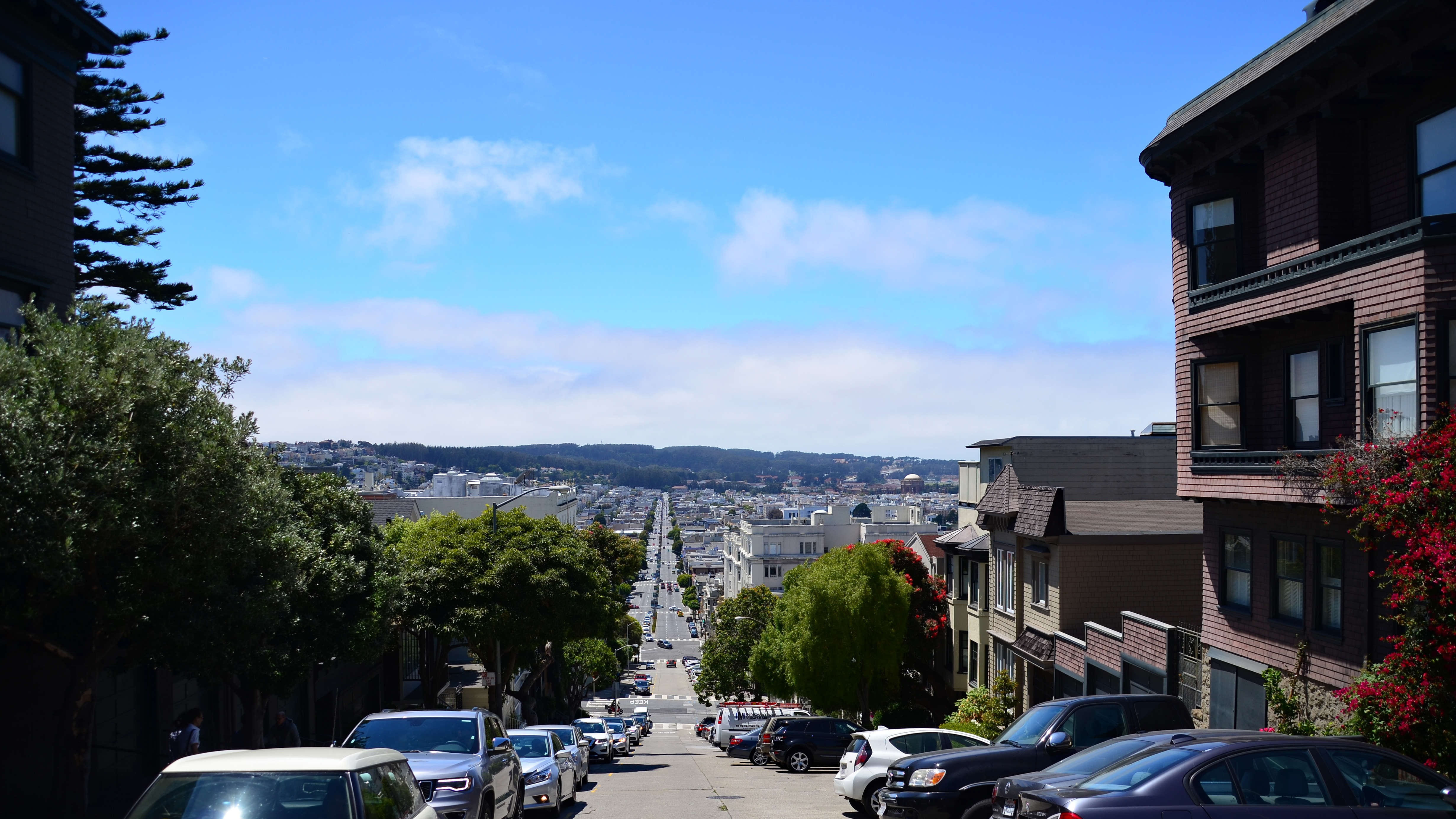 day, sky, land vehicle, lombard street, nature, plant, no people, road, mode of transportation, transportation, car, usa, sunlight, building exterior, architecture, HD Wallpaper