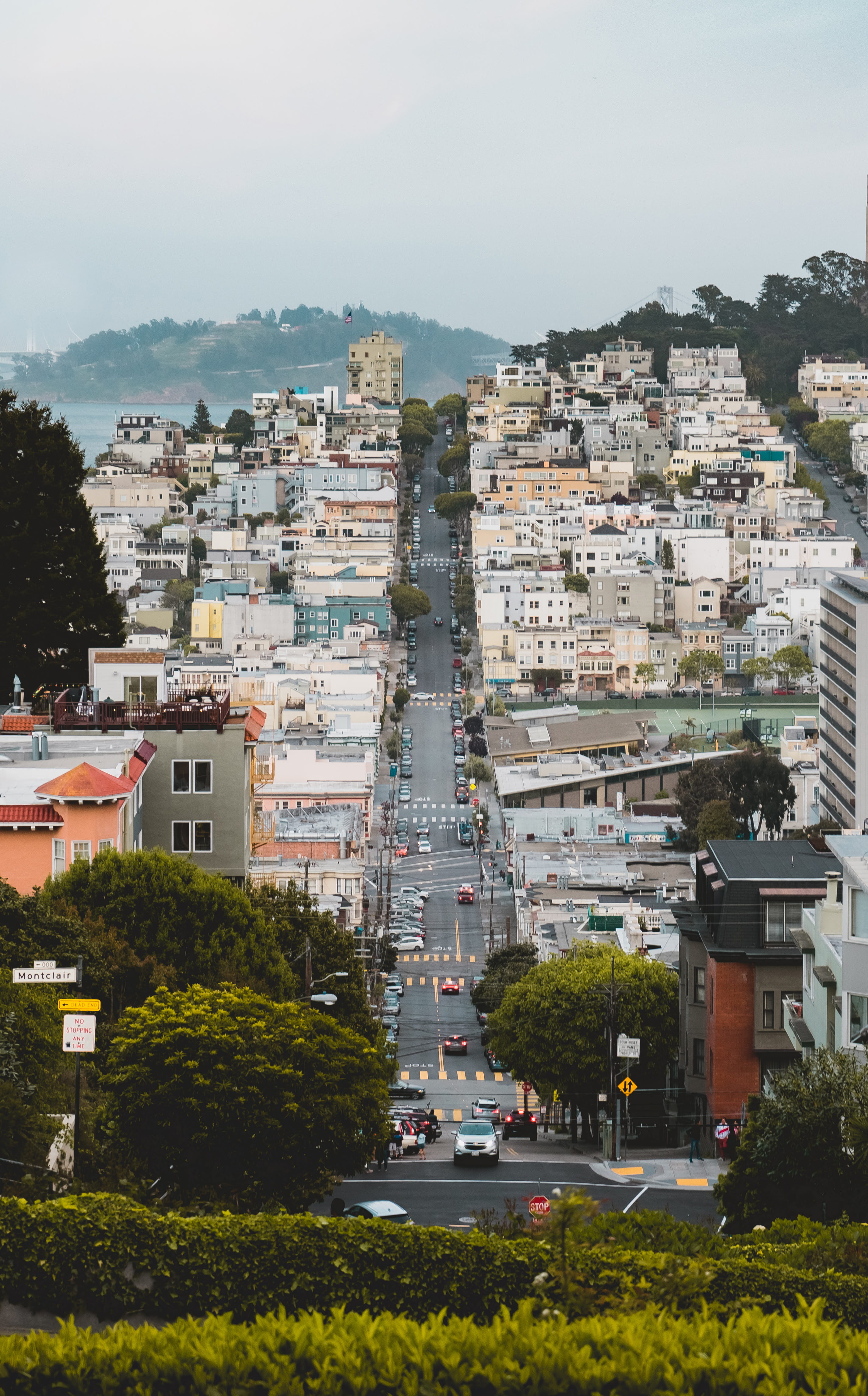 san francisco, nature, high angle view, metropolis, apartment, sky, cityscape, transportation, built structure, architecture, no people, building exterior, Phone HD Wallpaper