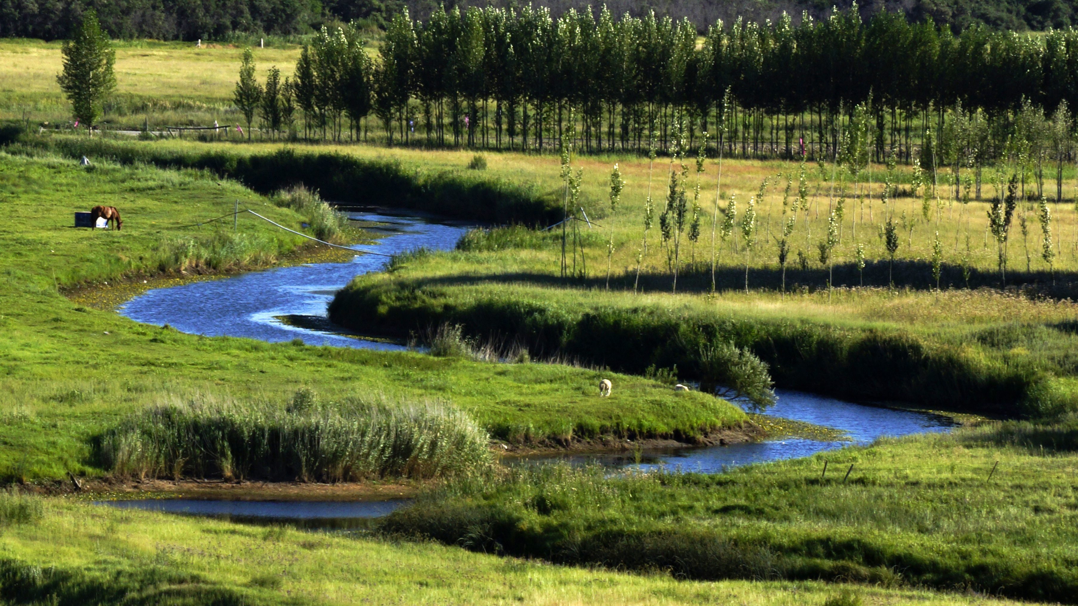 2K, scenics - nature, lake, beauty in nature, lombard, landscape, plant, tranquility, stream - flowing water, nature, growth, non-urban scene, water, no people, HD Wallpaper