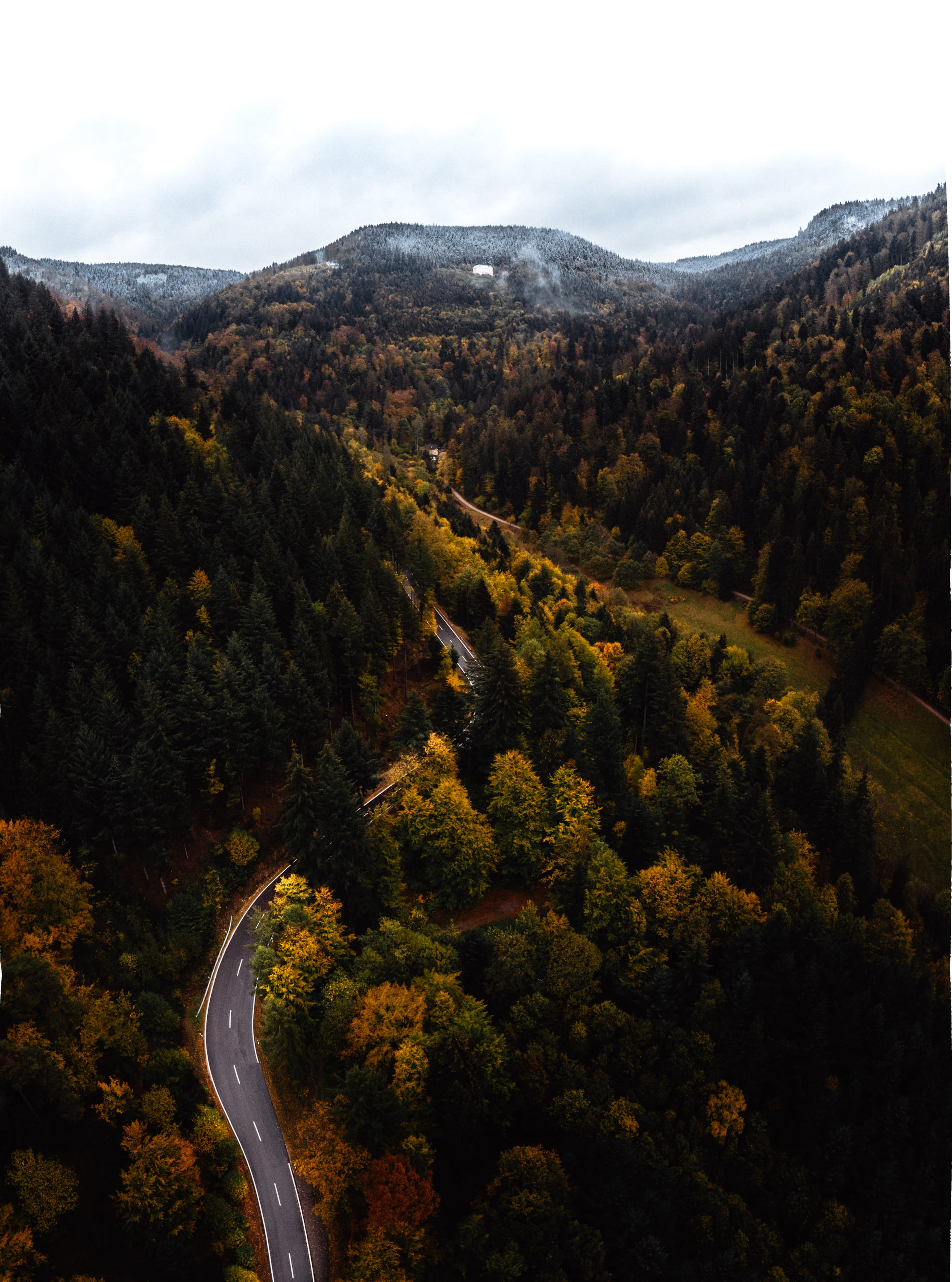 non-urban scene, tranquility, halloween, plant, environment, winter, street, landscape, tree, no people, nature, sky, germany, growth, drone, high angle view, Phone HD Wallpaper