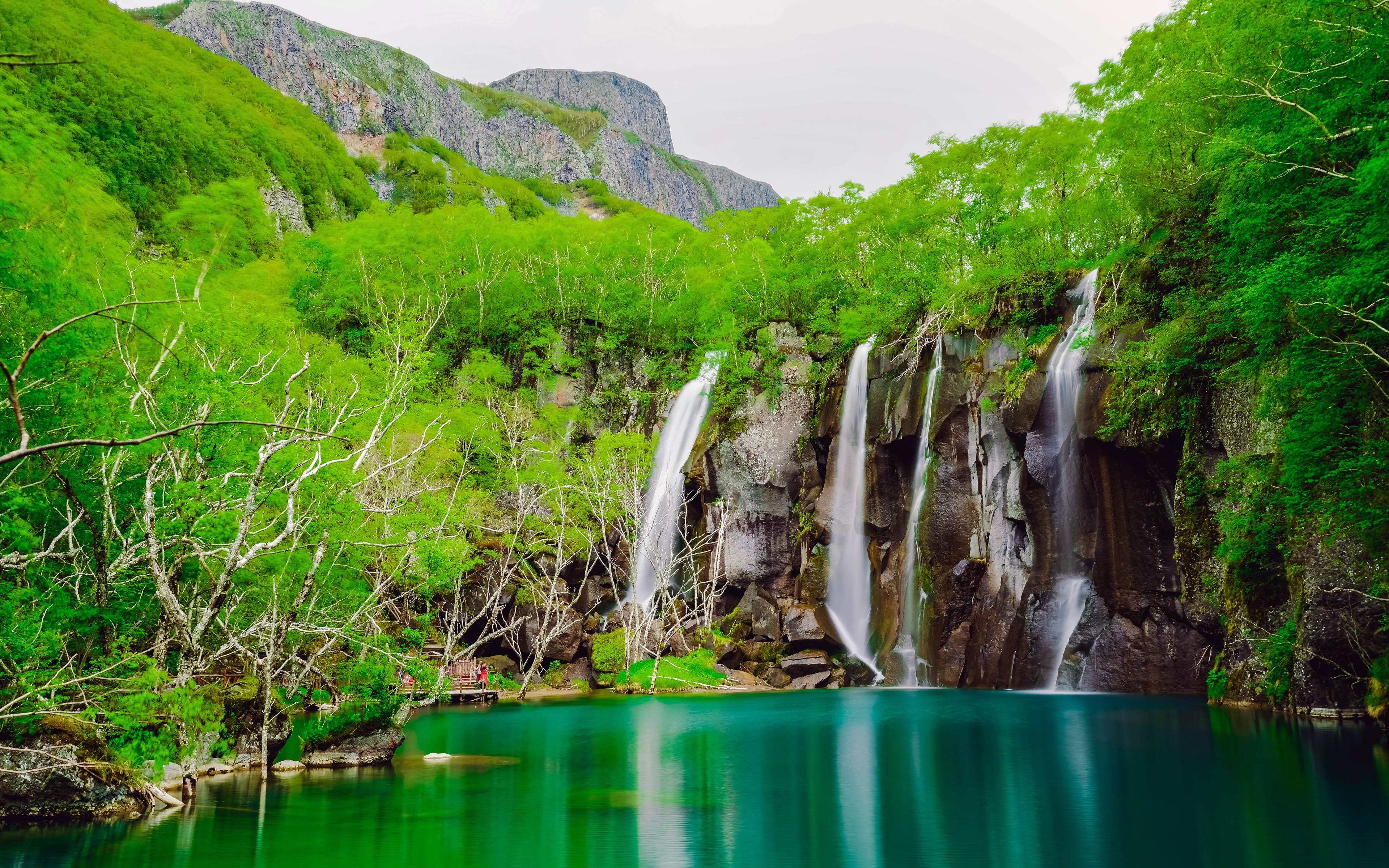 water, green color, rainforest, tranquil scene, 4K, changbai, lake, beauty in nature, jungle, waterfall, turquoise colored, tree, idyllic, flowing, scenics - nature, HD Wallpaper