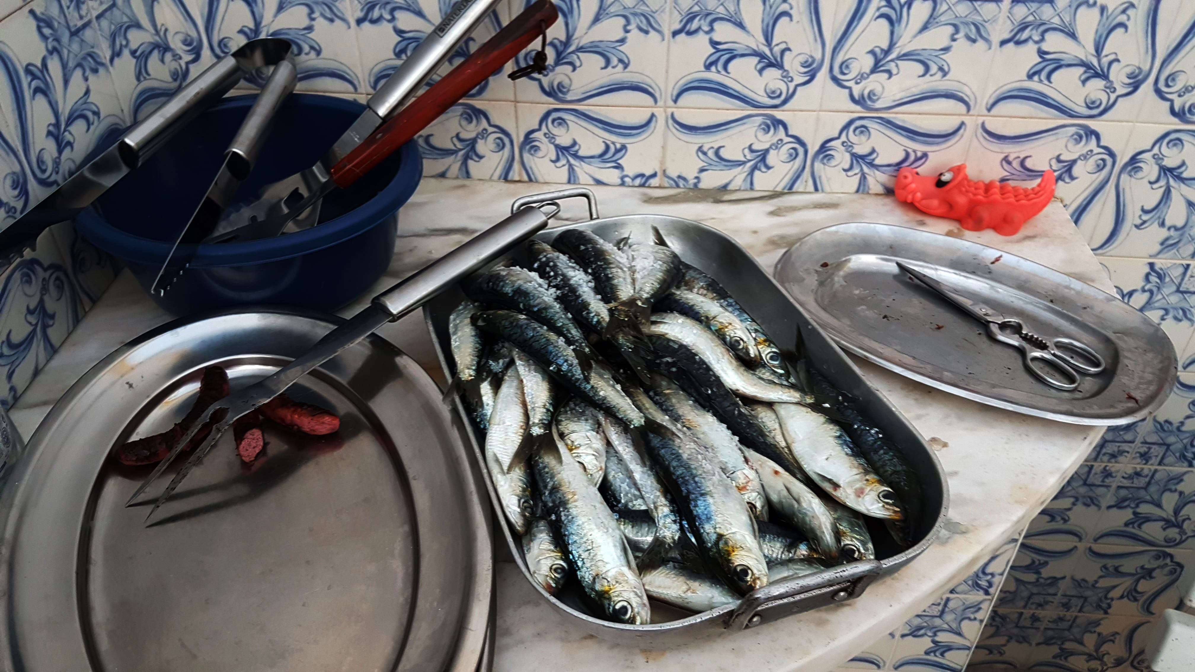 arraial, wellbeing, kitchen utensil, high angle view, close-up, fish, portugal, s.joao, vertebrate, 4K, freshness, household equipment, indoors, tray, HD Wallpaper