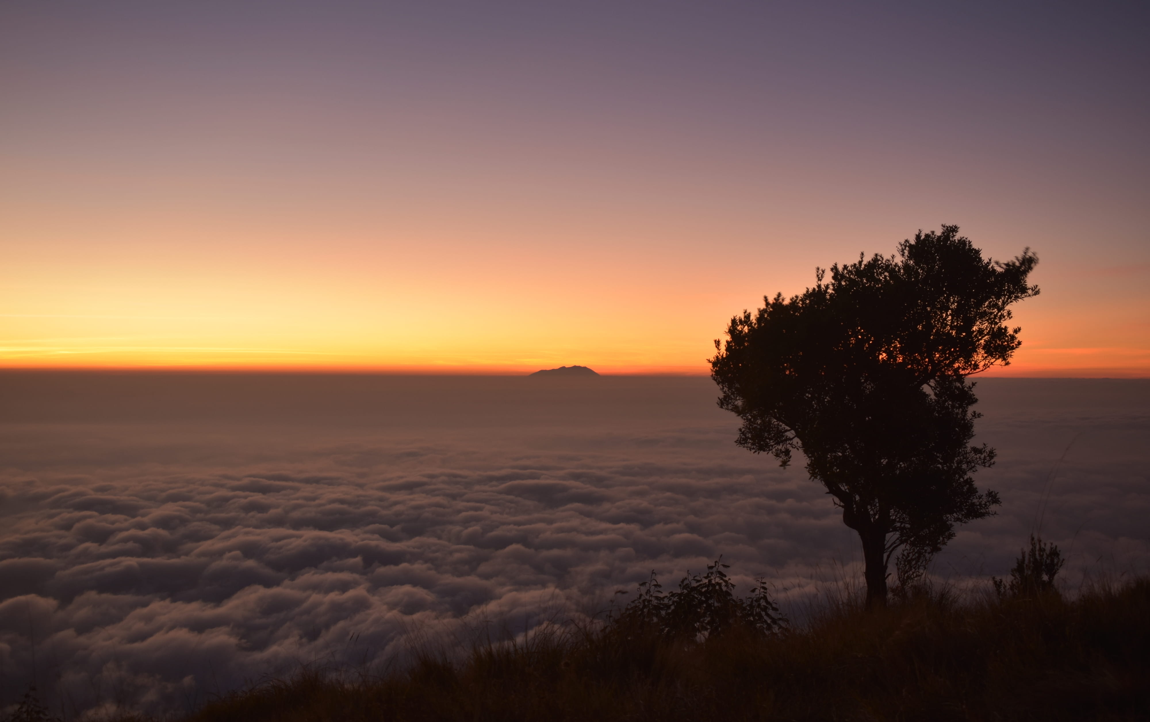tranquility, orange color, scenics - nature, 4K, orange horizon, beauty in nature, sky, sunrise, indonesia, top, tree silhouette, clouds, outdoors, flora, HD Wallpaper