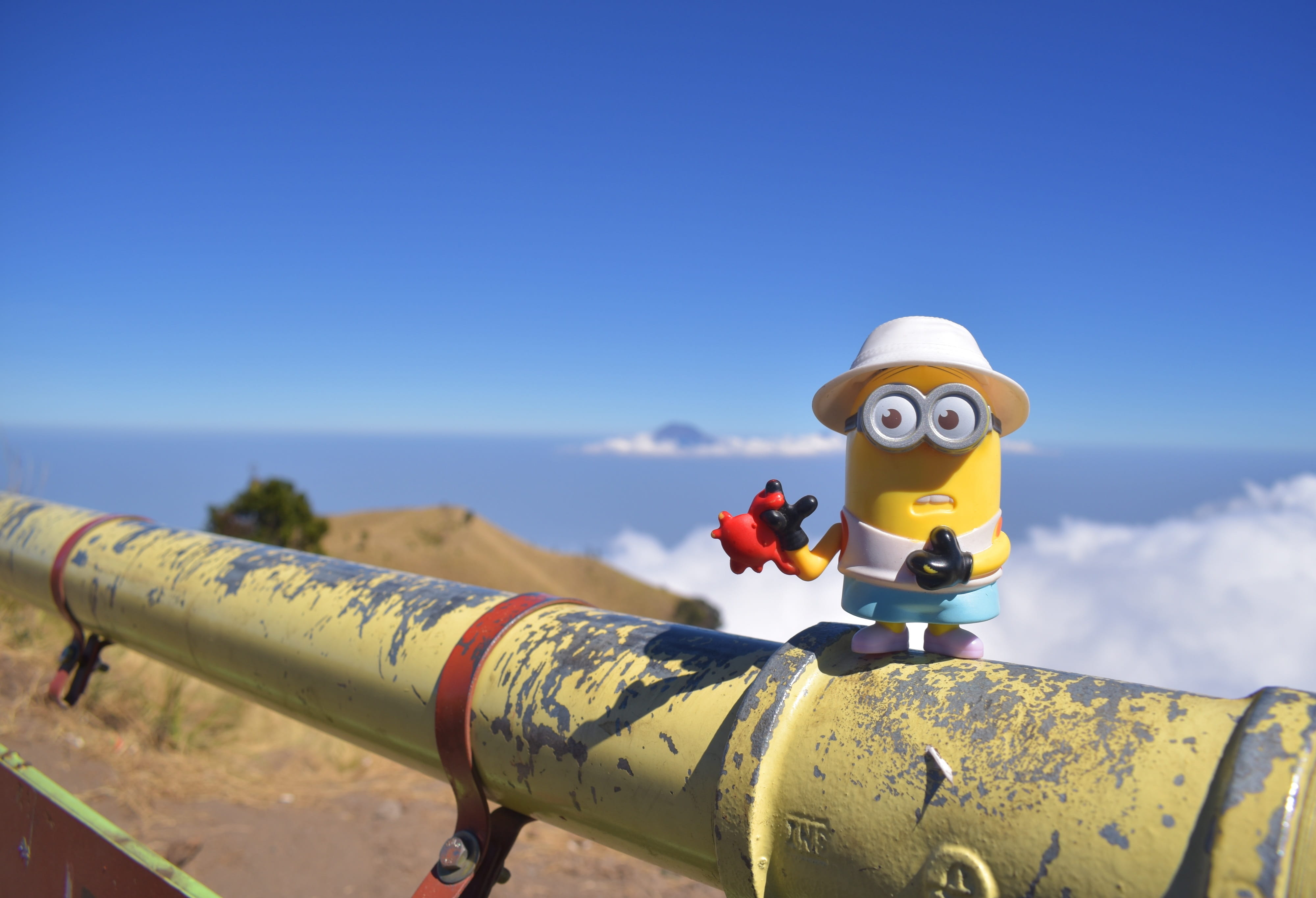 blue, no people, indonesia, plant, outdoor, sunny, minion, clouds, top, yellow, weapon, landscape, climbing, nature, clear sky, day, sea, security, close-up, HD Wallpaper