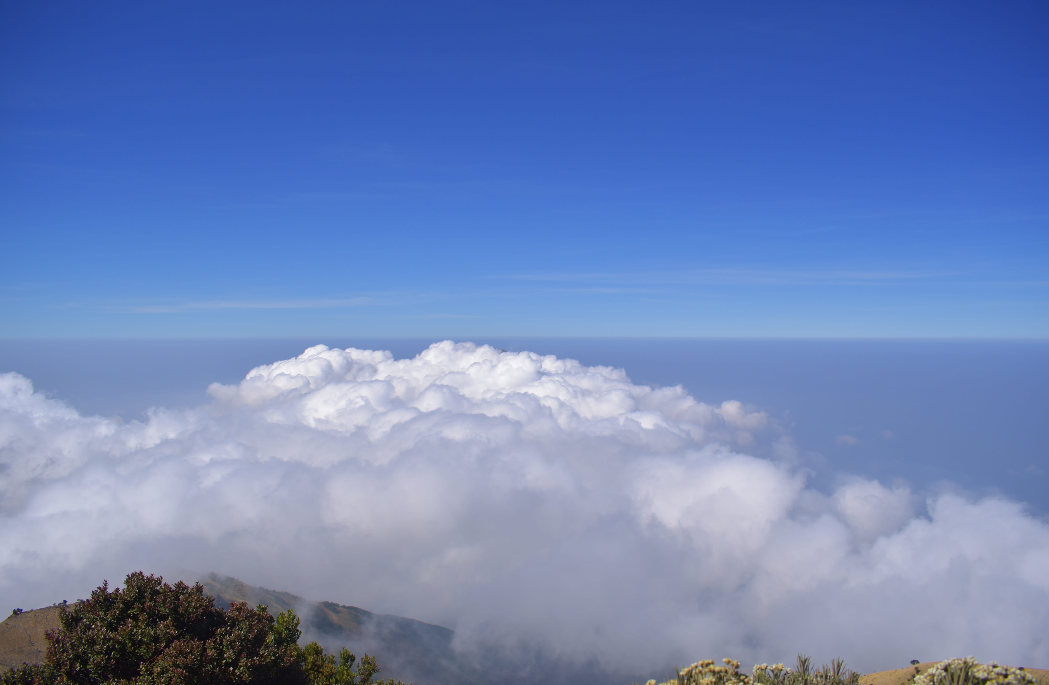 scenics - nature, mountain, merbabu, non-urban scene, nature, outdoors, growth, tranquil scene, clouds, scenic, no people, tranquility, indonesia, summer, HD Wallpaper