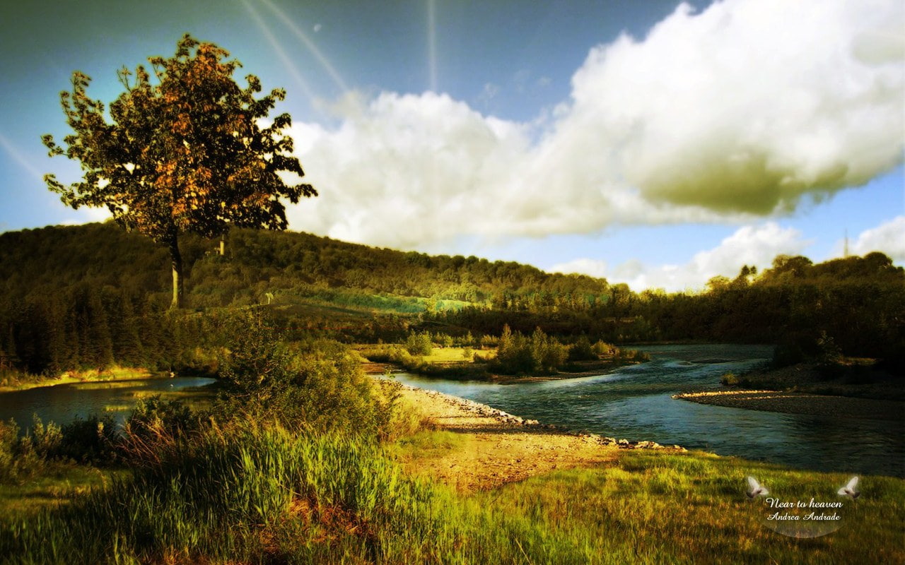 720P, lakes, near, Trees, nature, art, hd, Fields, heaven, HD Wallpaper