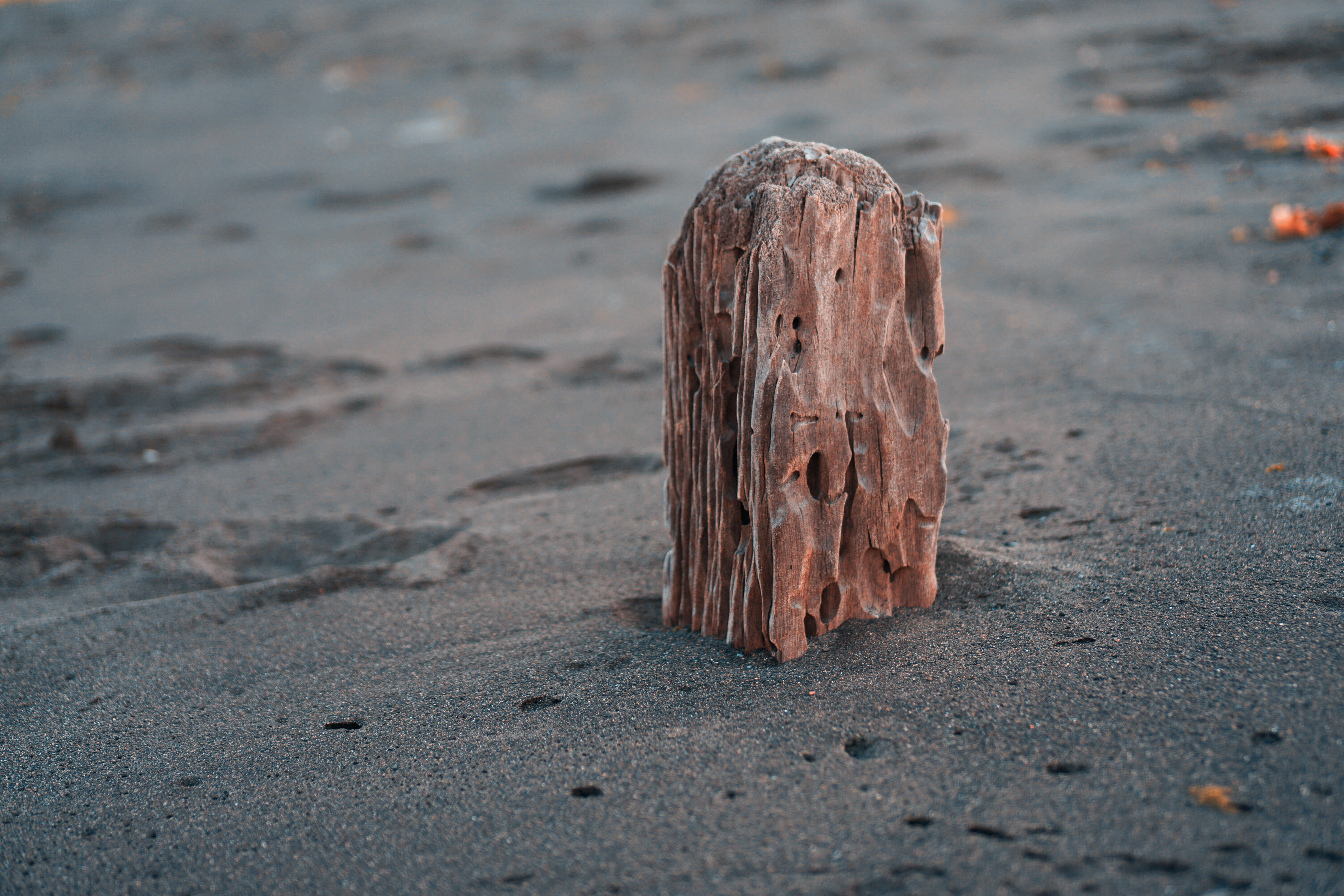 beauty in nature, 5K, wisata pantai dermaga cinta, close-up, wood - material, tranquility, focus on foreground, day, old, single object, wooden post, nature, HD Wallpaper