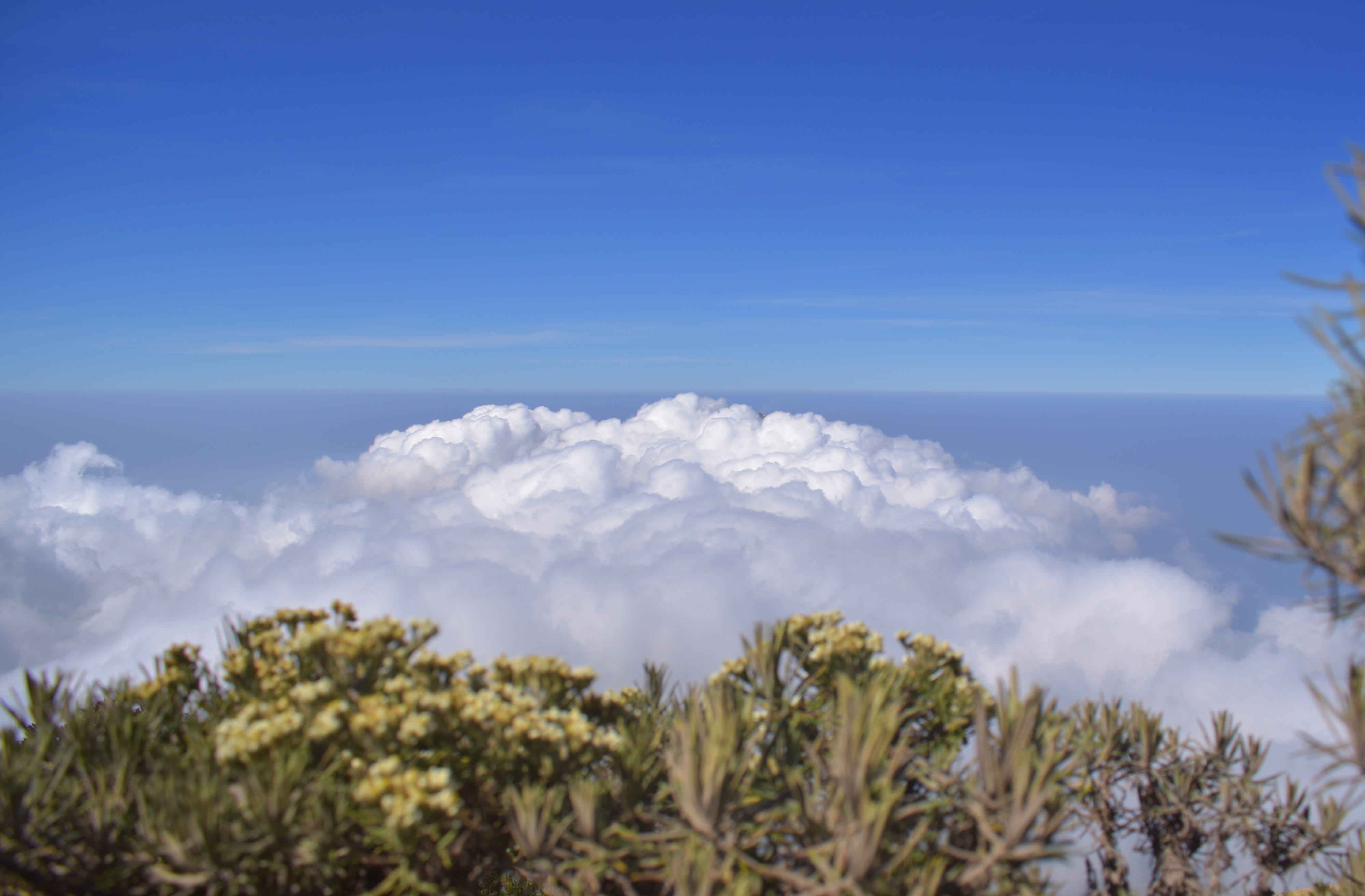 adventure, scenics - nature, growth, clouds, landscape, tranquility, tranquil scene, 4K, indonesia, summit, non-urban scene, tropical, outdoors, no people, HD Wallpaper