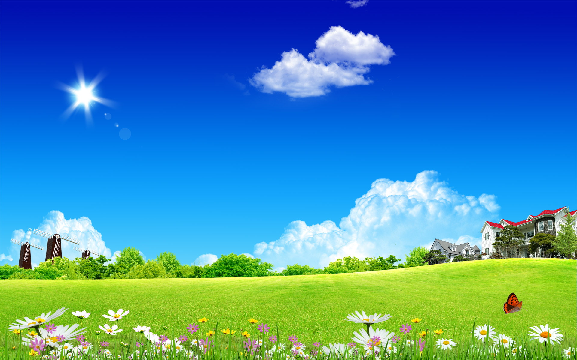hd, home, daisies, white, 1080P, dreamy, fantasy, clean, sky, HD Wallpaper