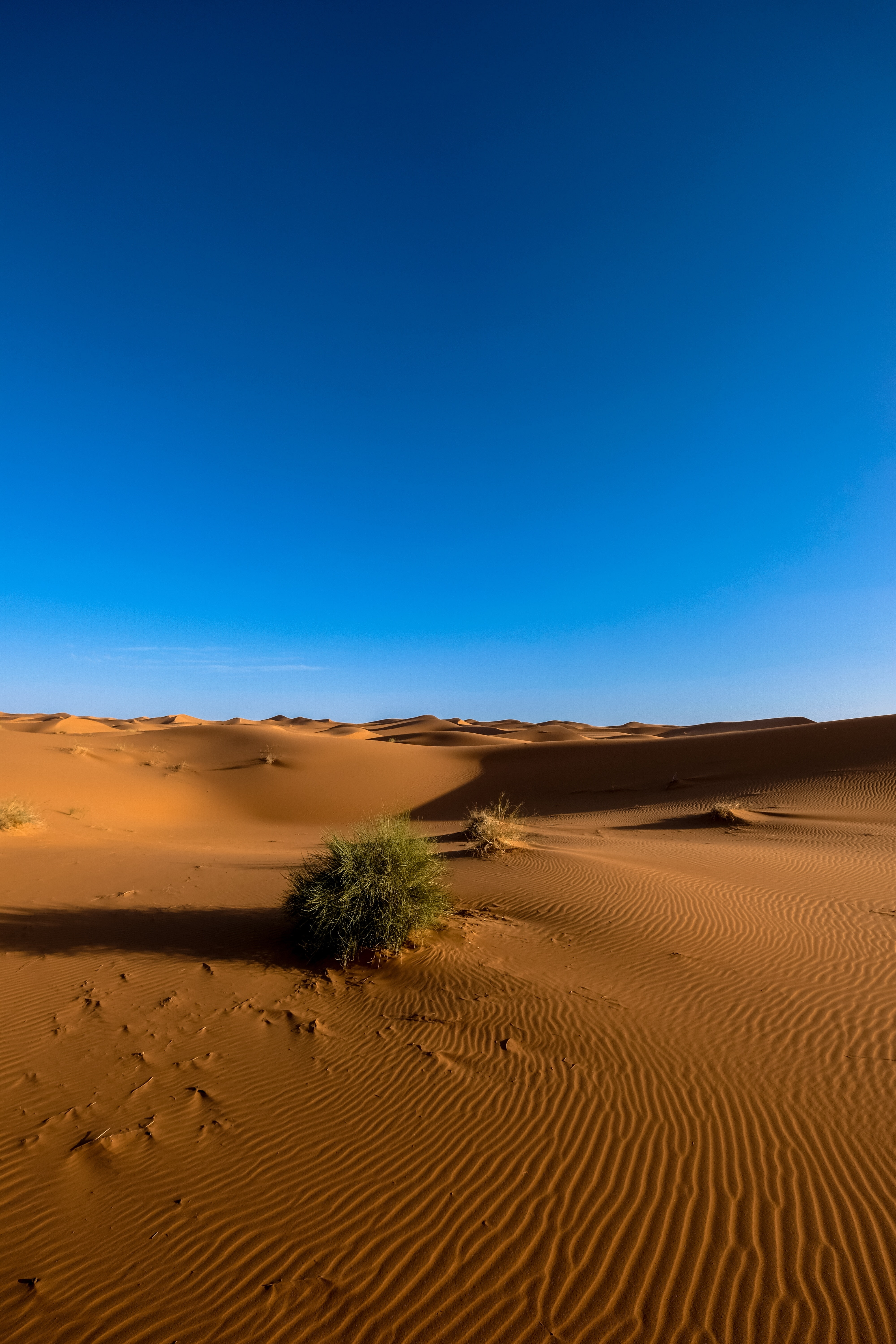 clear sky, remote, sahara desert, clean sky, environment, atmospheric, sand dune, desert, outdoors, blue, land, arid climate, tranquil scene, sky, Landscape, Phone HD Wallpaper