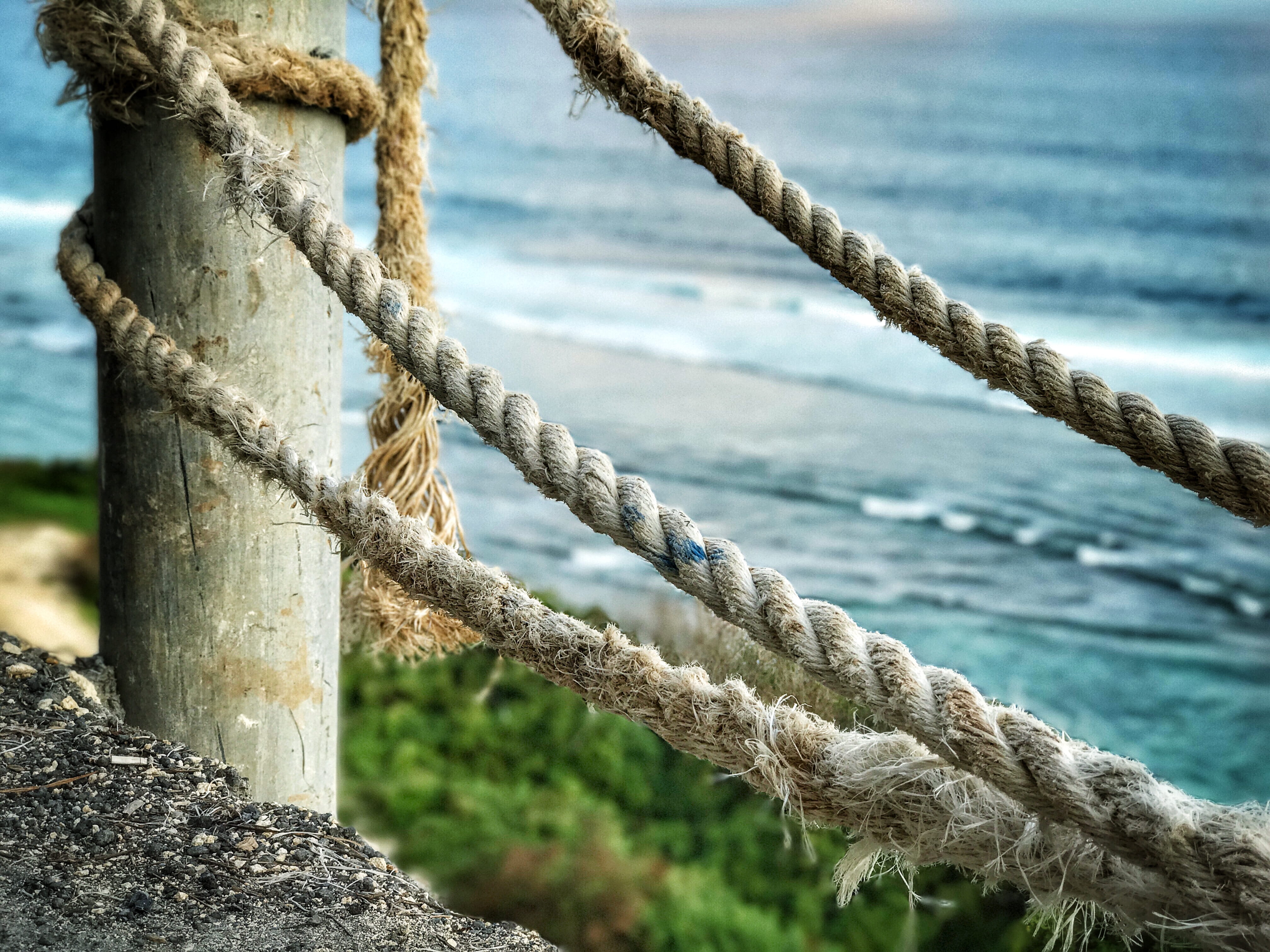 tree, sky, tied up, bond, uluwatu beach, textured, padang, tree trunk, plant, wow, 4K, ocean, rope, focus on foreground, indonesia, waves, uluwatu, HD Wallpaper