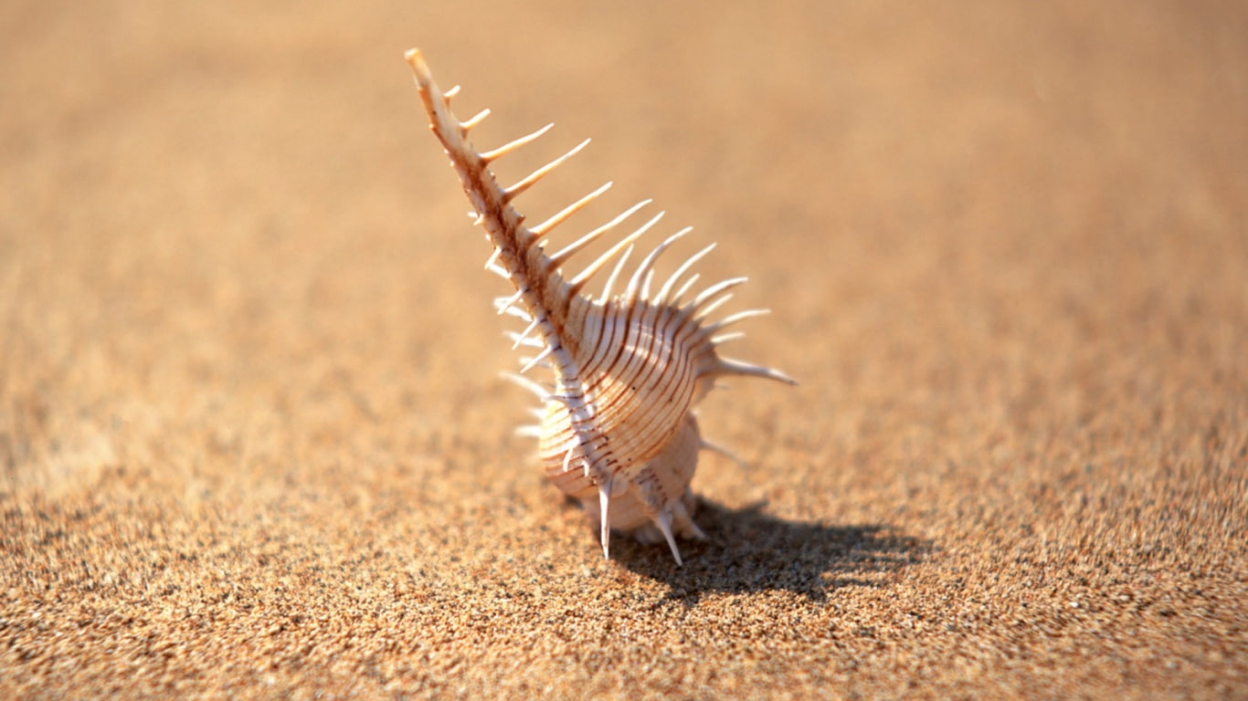 desert, savana, sand, 720P, beach, HD Wallpaper