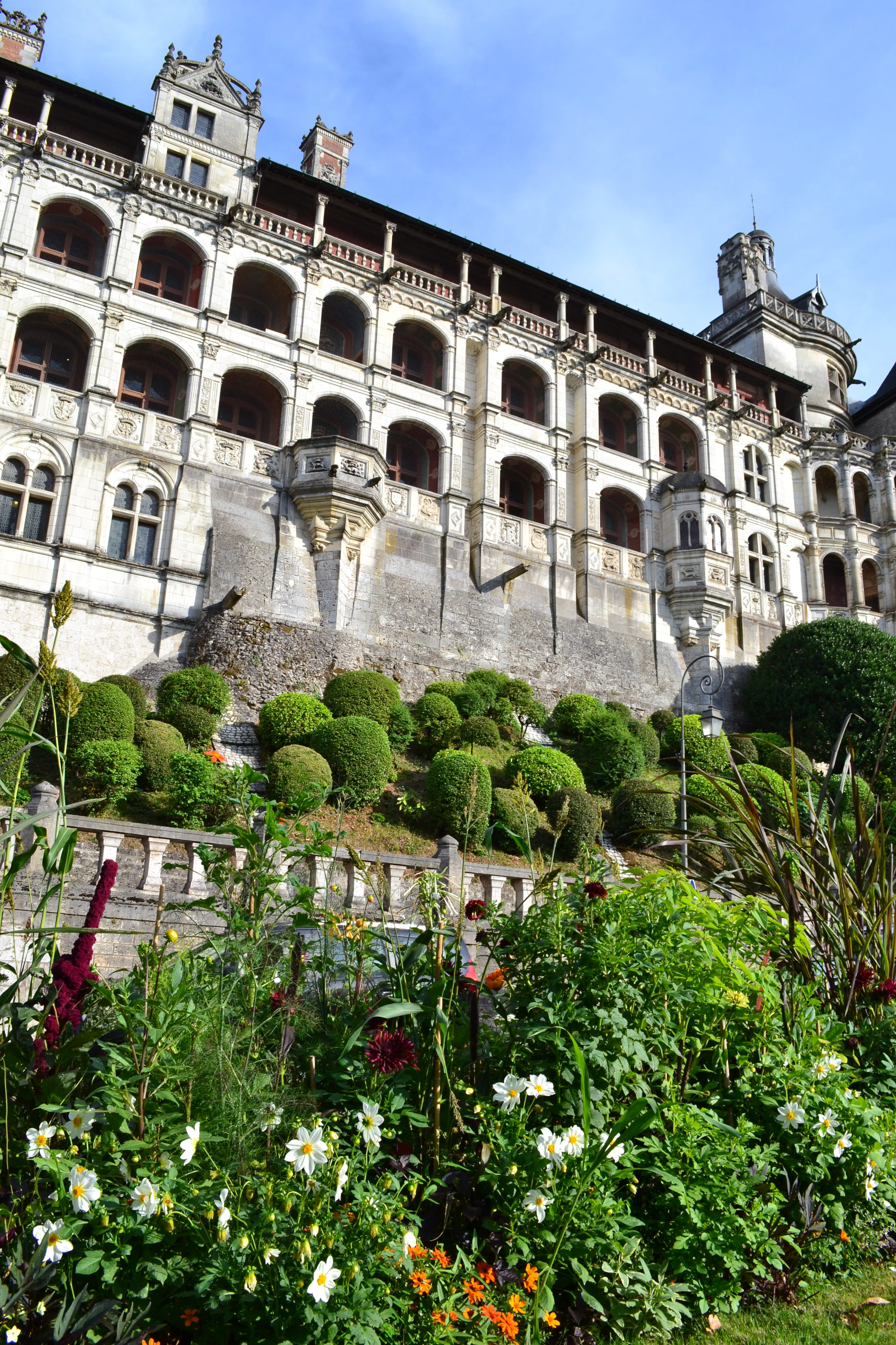 day, residential district, old, tree, royal castle, flowerbed, loire valley, flowering plant, plant, the past, châteaux de la loire, château de françois first, Phone HD Wallpaper