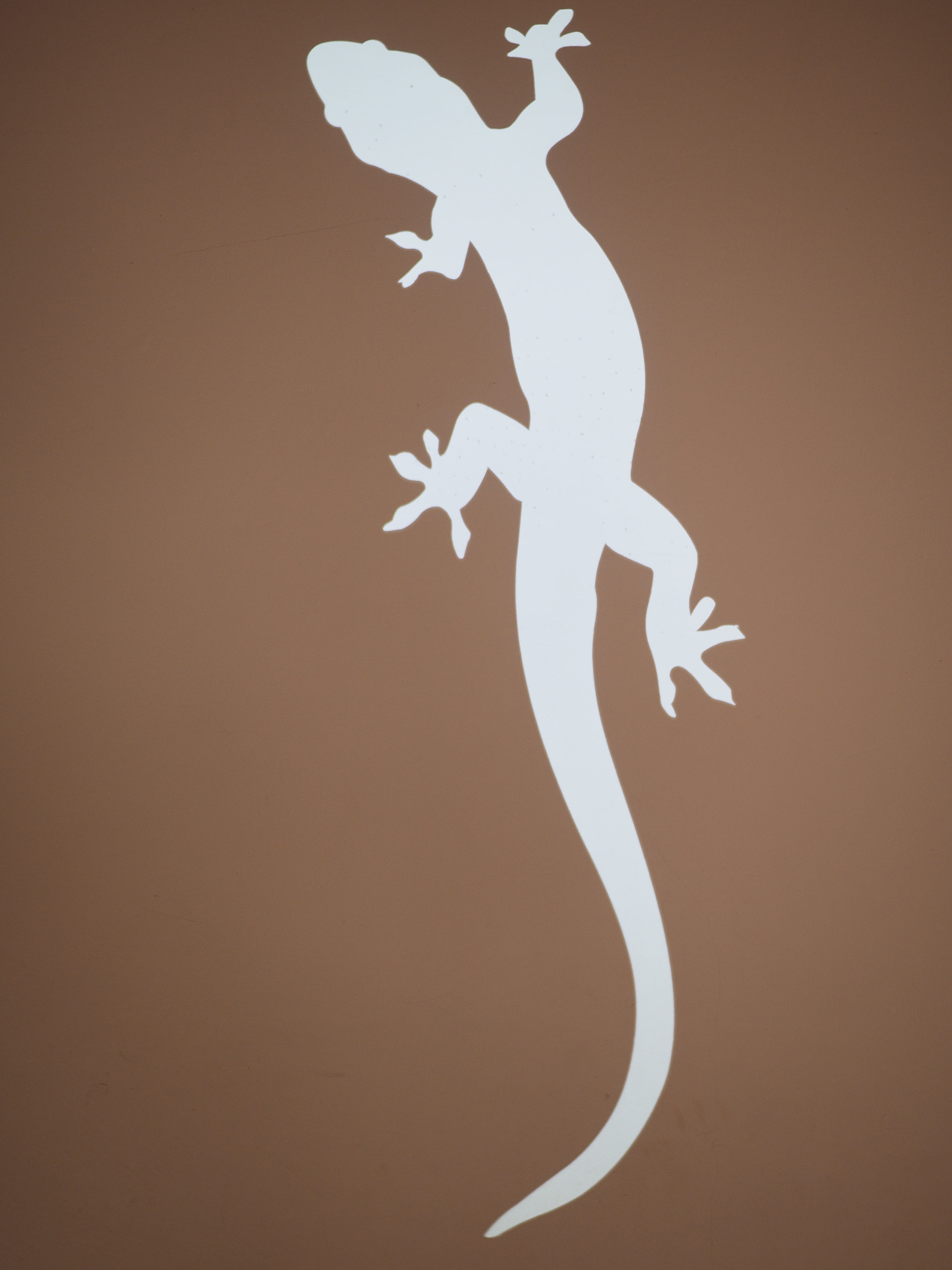 art and craft, christmas decoration, white color, lizard, holiday, tree, shape, crawl, wall - building feature, 4K, logo, amphibian, nature, silhouette, Phone HD Wallpaper