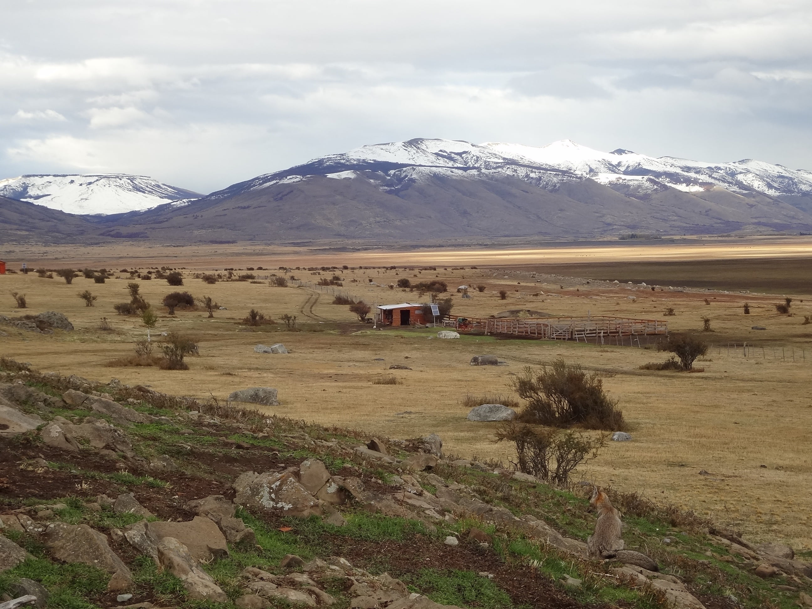 southern argentina, mountain, day, field, tranquility, outdoors, non-urban scene, built structure, mountain range, cloud - sky, el calafate, plant, patagonia, HD Wallpaper