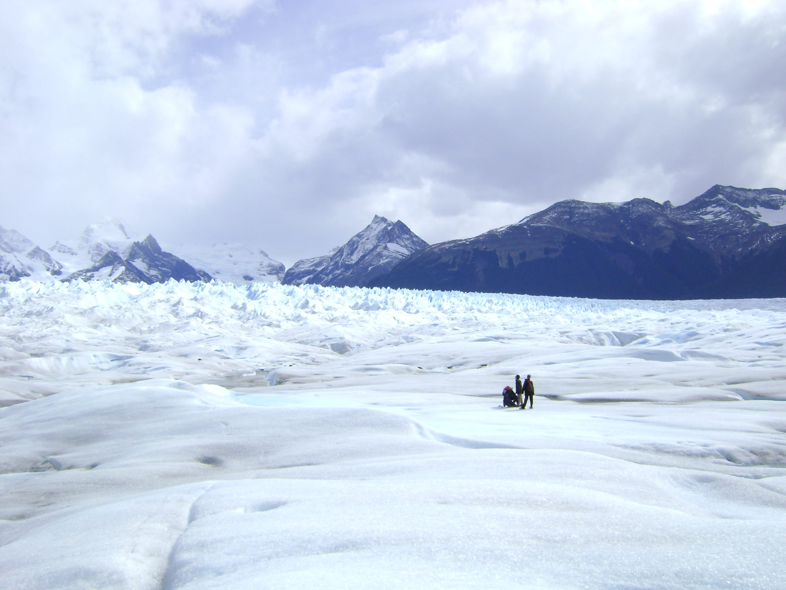 beauty in nature, mountain, unrecognizable person, animals in the wild, animal wildlife, cold temperature, snowcapped mountain, Glacier, argentina, big ice, HD Wallpaper