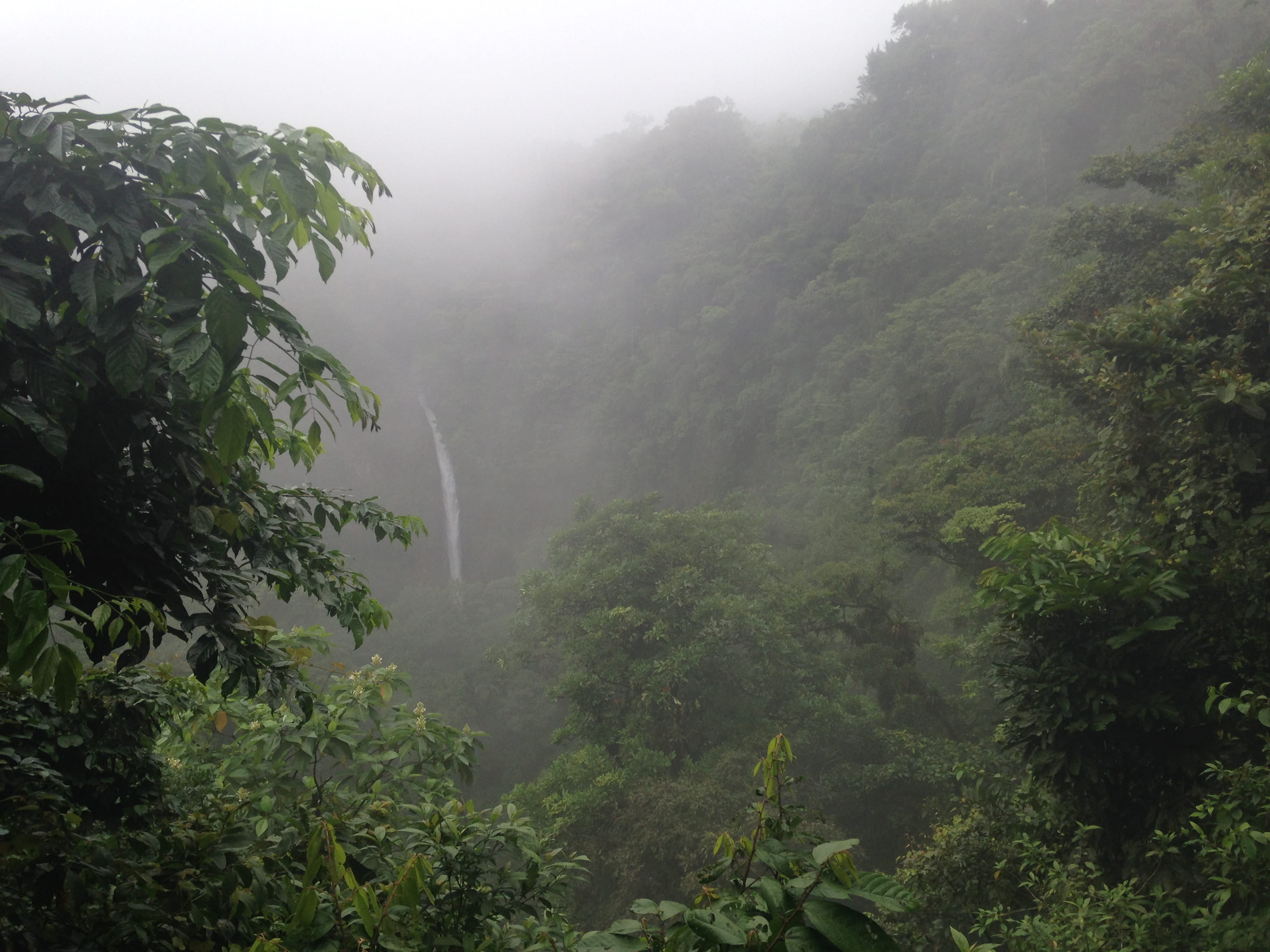 central america, non-urban scene, growth, green color, nature, scenics - nature, la fortuna de san carlos, waterfall, plant, tranquility, lush foliage, HD Wallpaper
