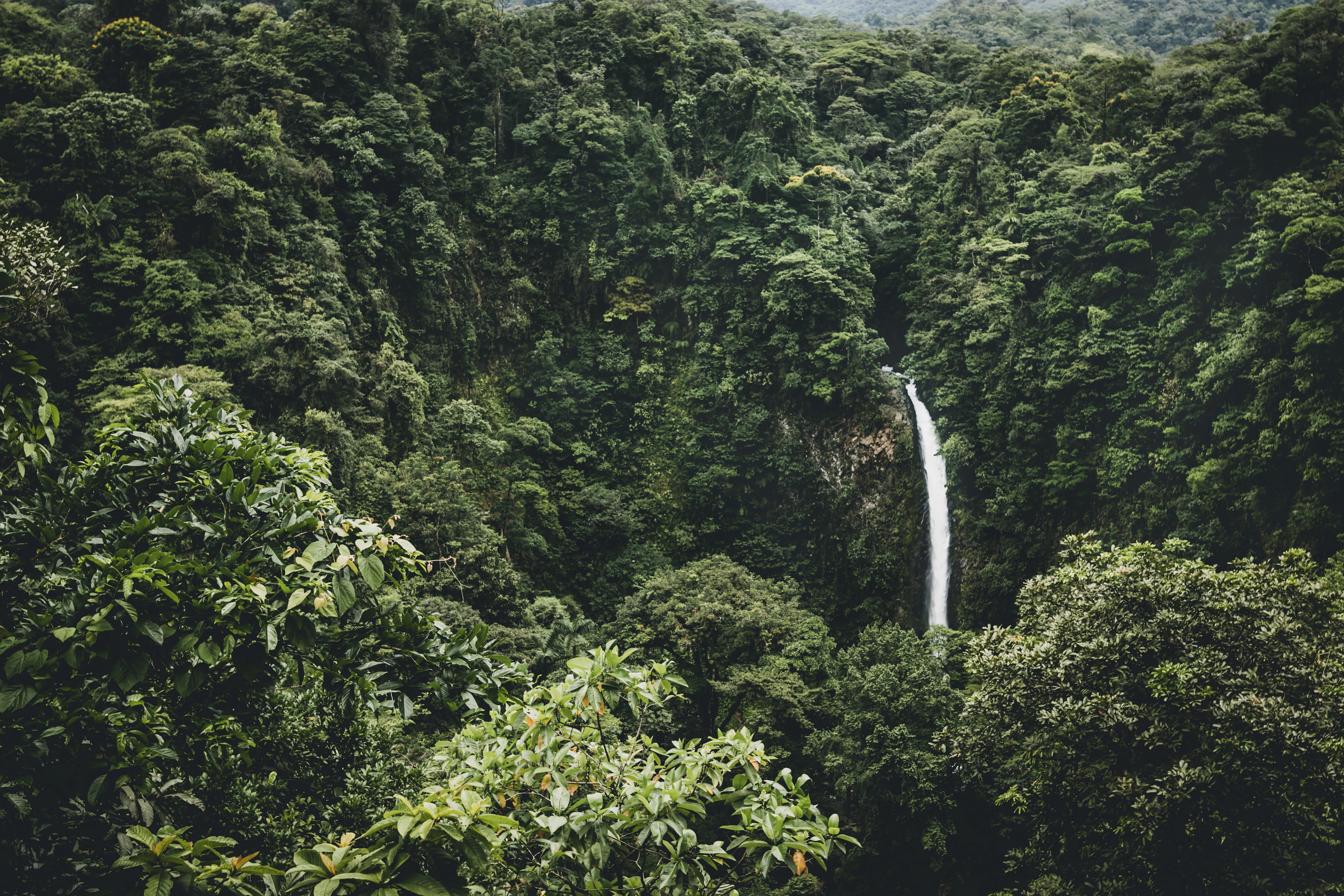 plant, La Fortuna, non-urban scene, long exposure, surround, foliage, green, nature, no People, flowing water, beauty in nature, outdoors, day, motion, HD Wallpaper