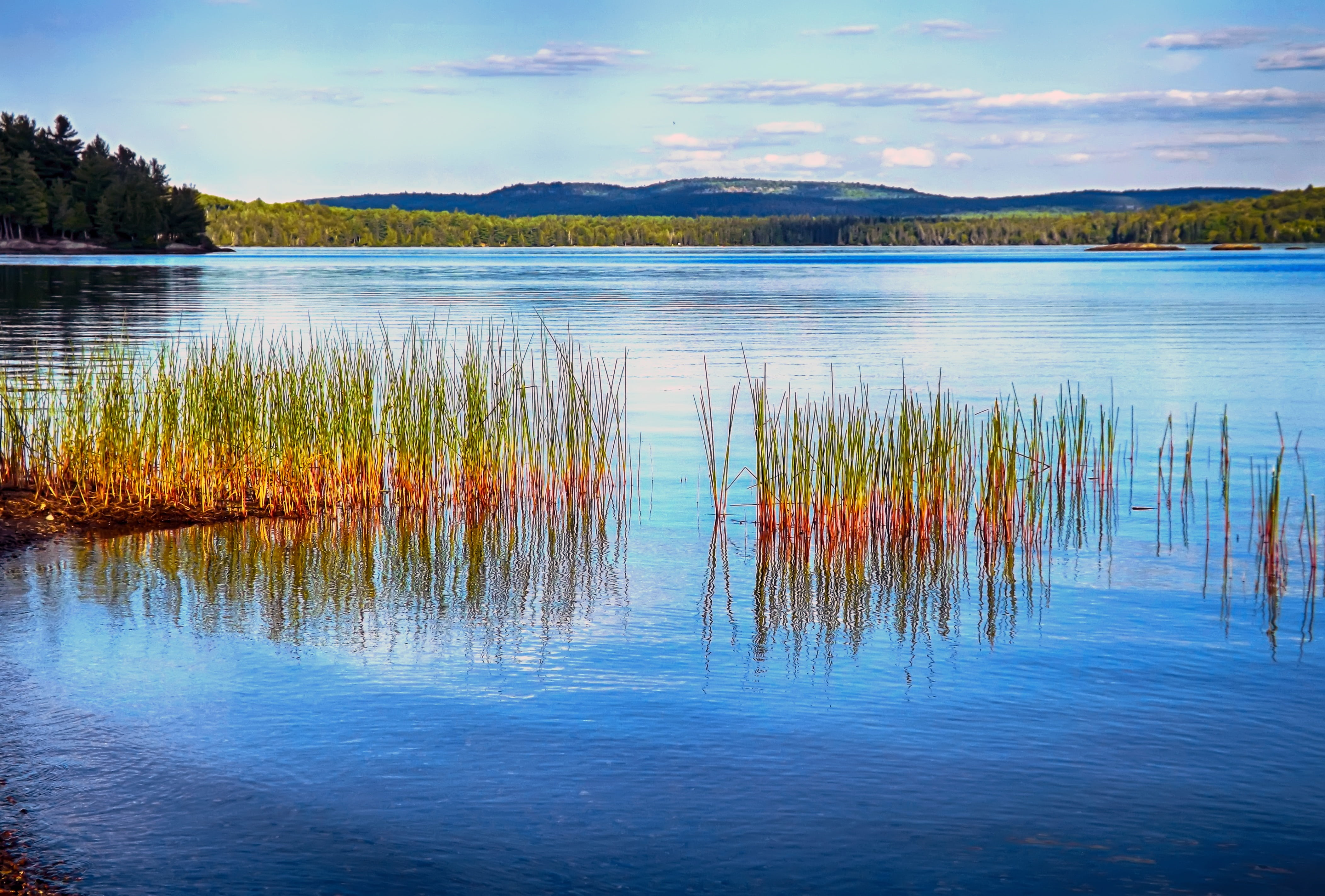 forest, cloud - sky, lakes, sky, scenics, tranquil scene, reflection, nature, blue, plants, beauty In Nature, body, mountain, idyllic, summer, water, green, HD Wallpaper