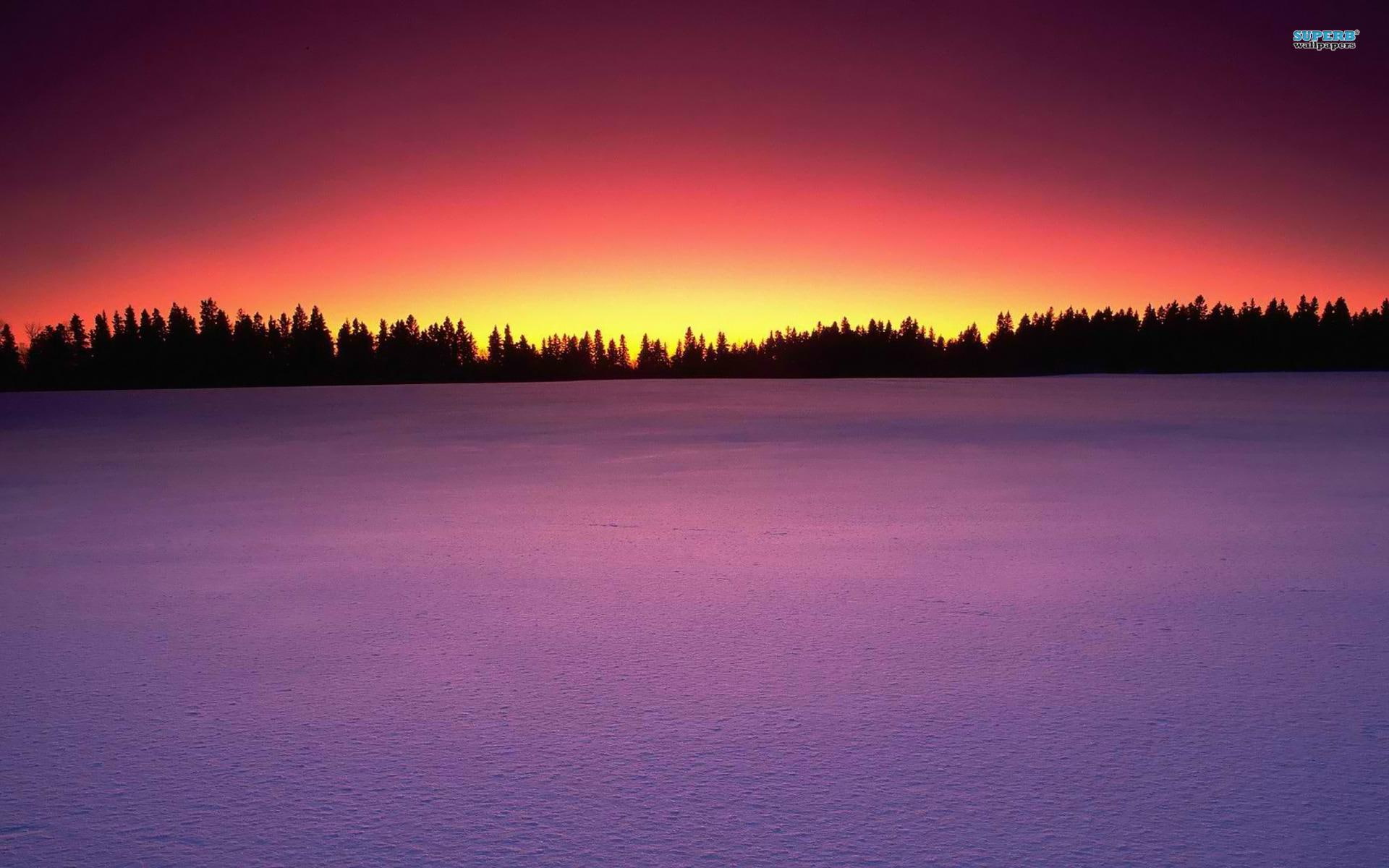 horizon, trees, provincial, 1080P, winter, sunrise, landscape, park, snow, hill, nature and landscapes, scenery, birds, sunset, nature, HD Wallpaper