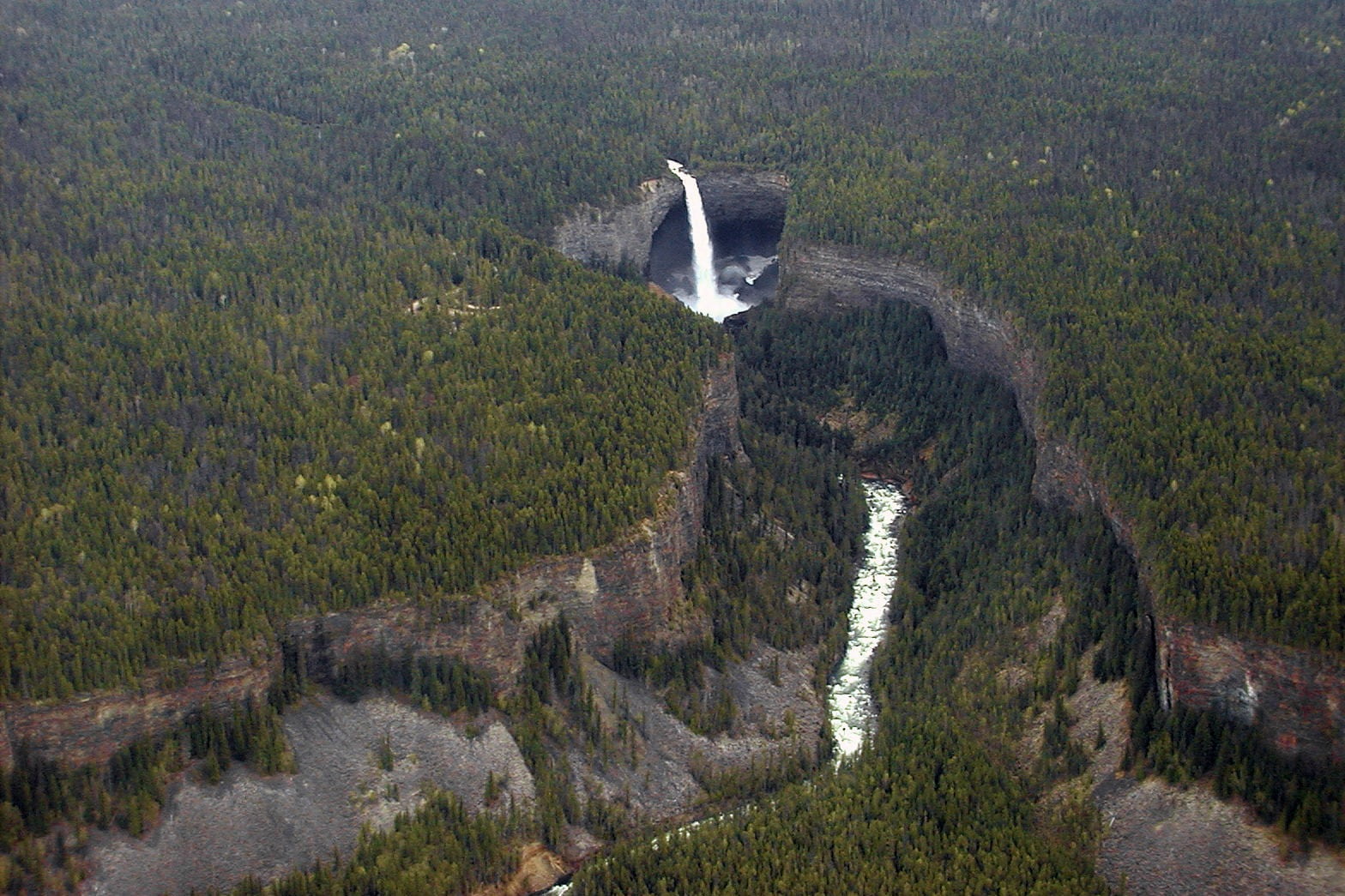 helmcken falls, 720P, no people, high angle view, animal, growth, british columbia, water, bird, green color, tranquil scene, bird perspective, day, wells gray provincial park, HD Wallpaper