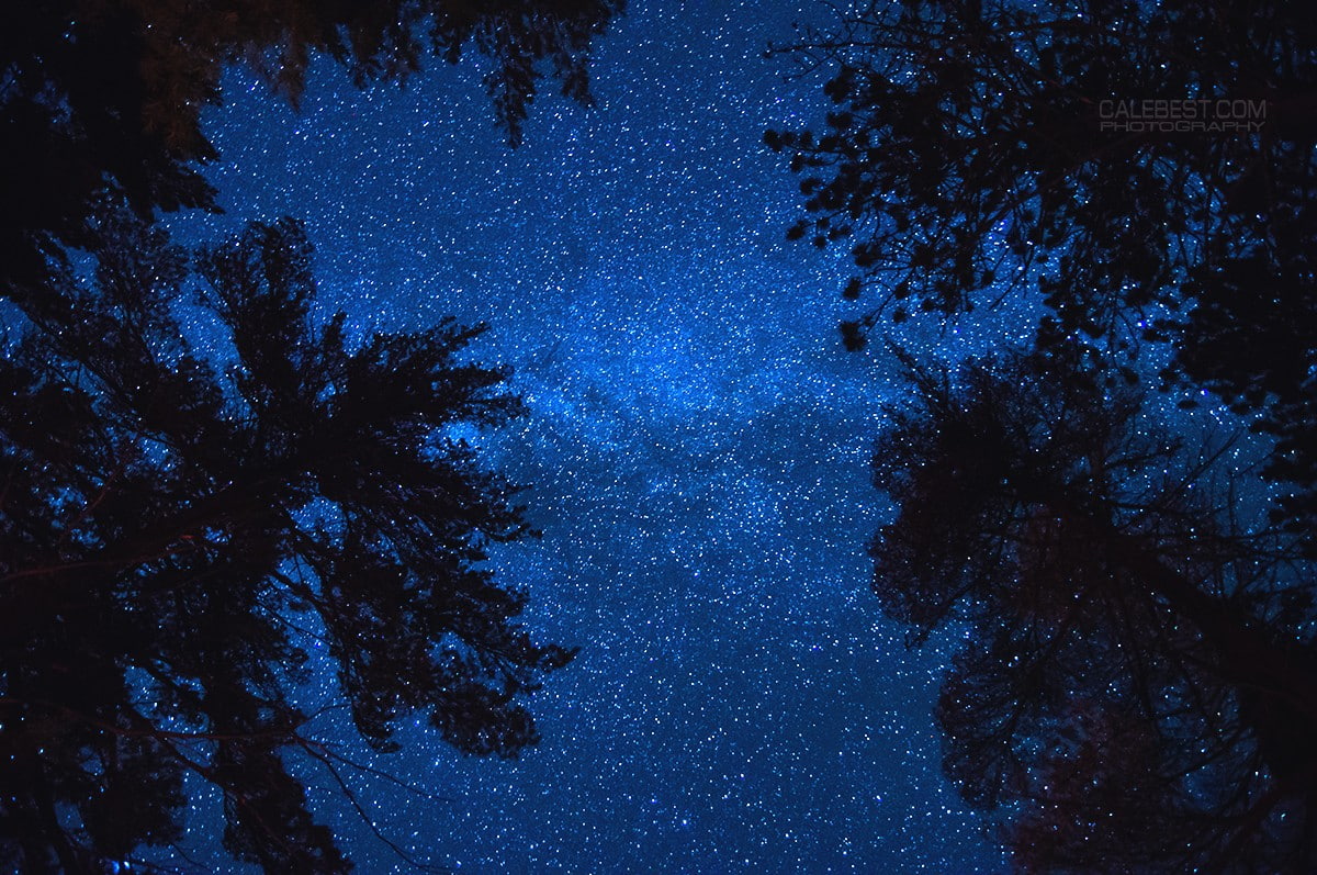 Algonquin Provincial Park, 480P, Trees, stars, sky, HD Wallpaper