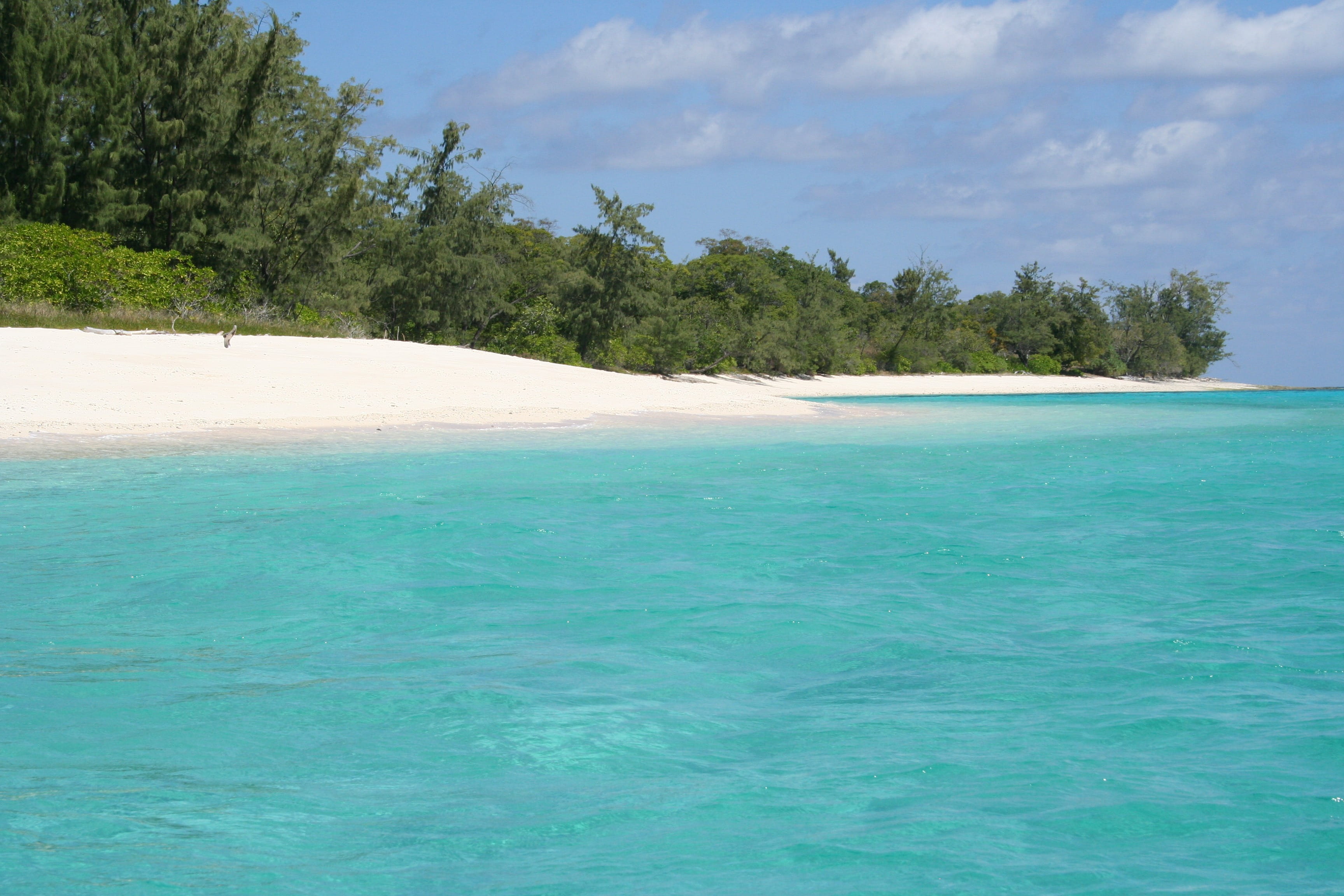 tranquil scene, 2K, non-urban scene, near, green, tranquility, day, outdoors, scenics, water, white sand, east timor, ocean, blue, tree, photograph, turquoise colored, HD Wallpaper