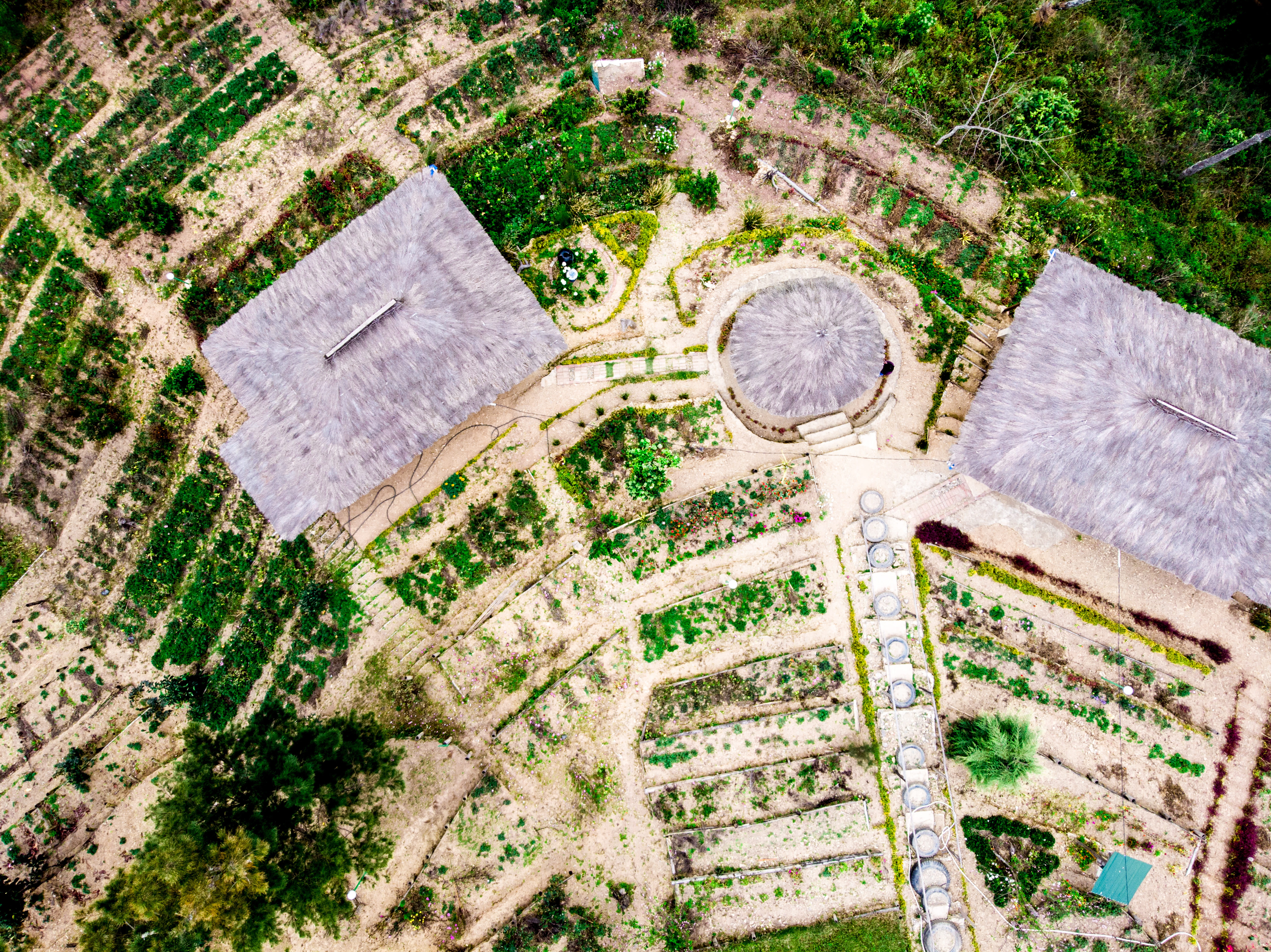 grass, recycled, vegetation, outdoors, built structure, unnamed road, scenery, history, plant, aerial view, timor-leste, day, drone photography, garden, HD Wallpaper