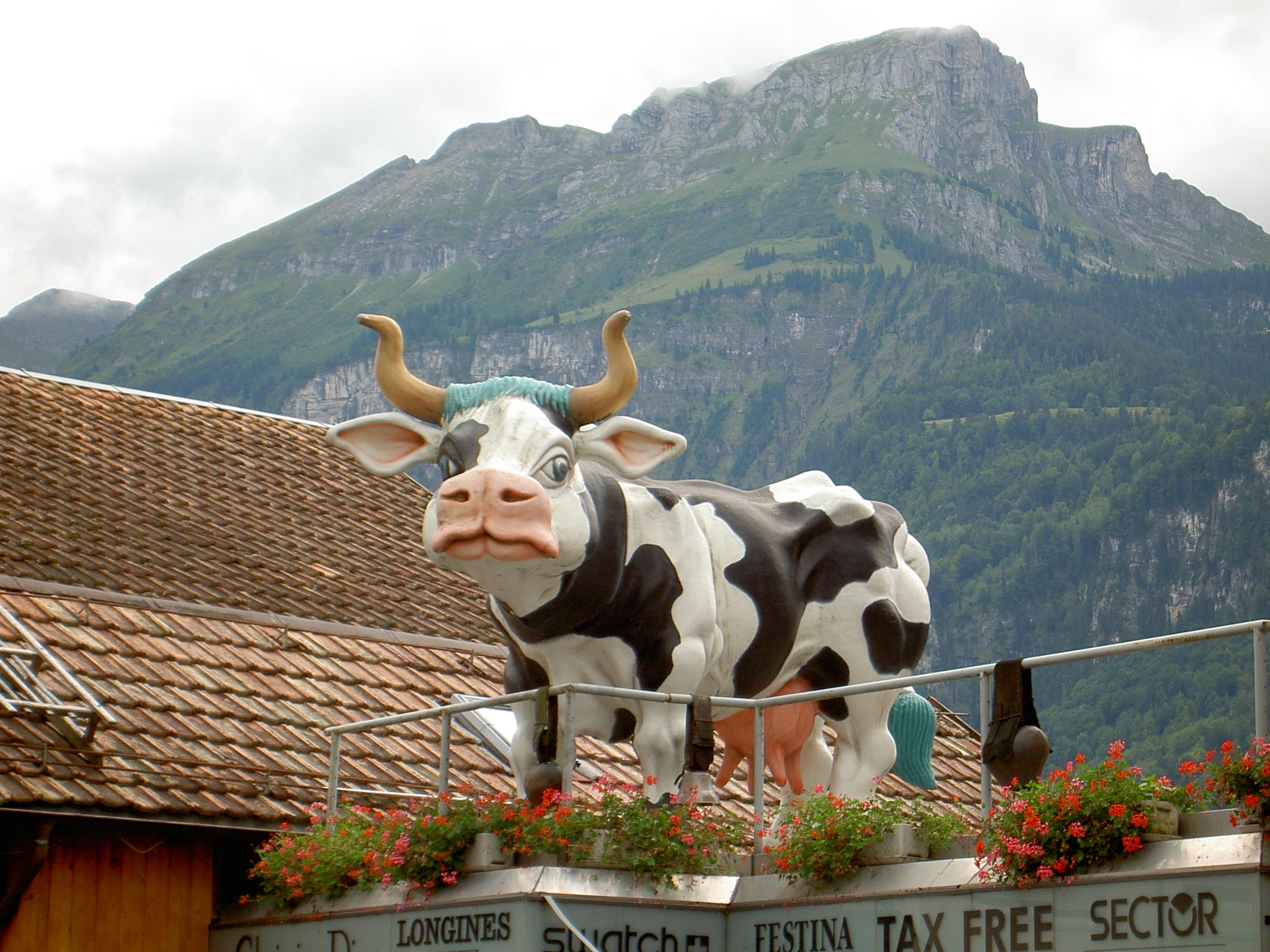 animal, sculpture, livestock, one animal, sky, vertebrate, mammal, 1080P, building exterior, nature, cow, animal head, brienz, mountain, switzerland, outdoors, HD Wallpaper