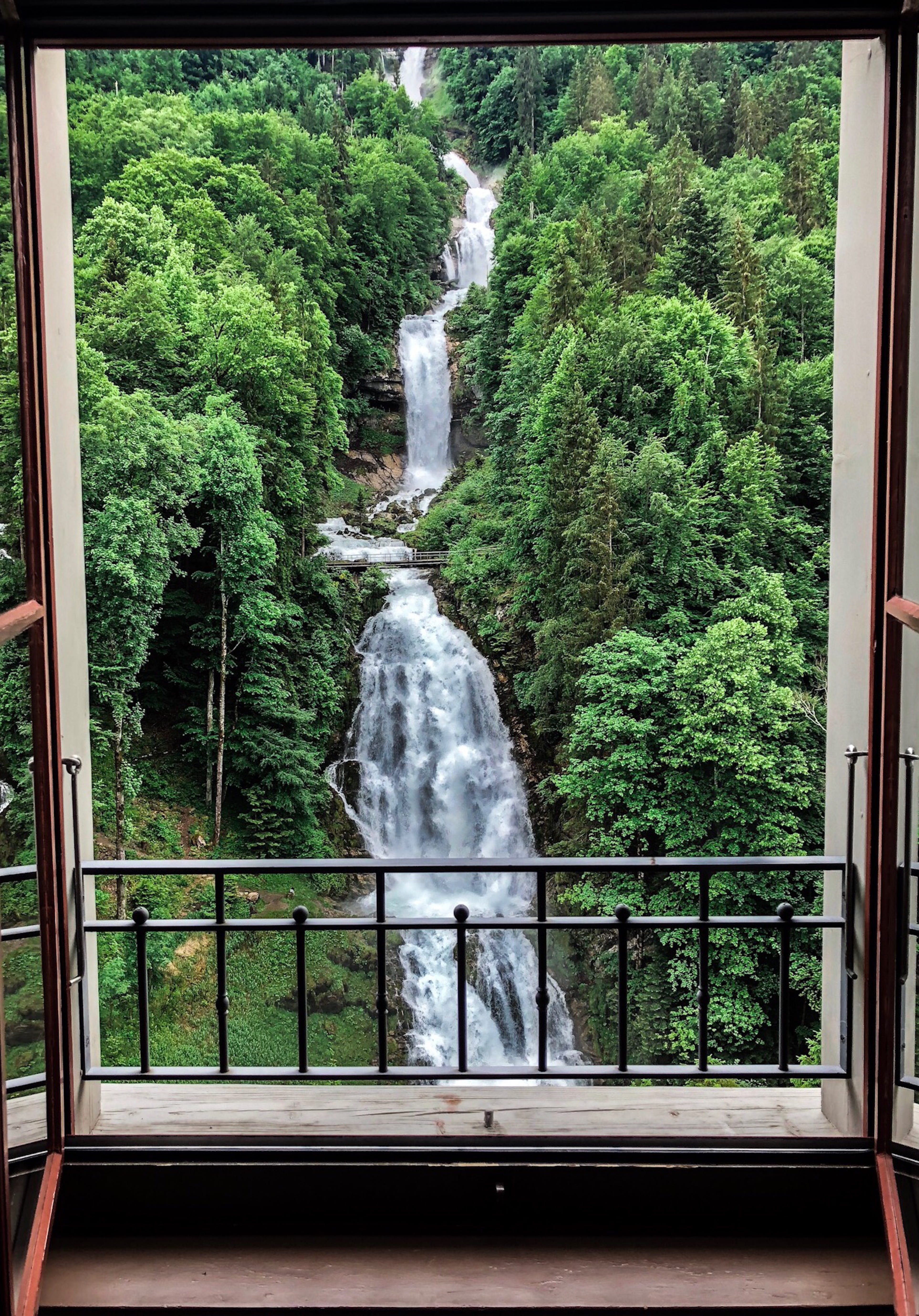 flowing water, nature, no people, switzerland, giessbachfälle, long exposure, glass - material, window, railing, tree, 5K, growth, outdoors, motion, green color, Phone HD Wallpaper