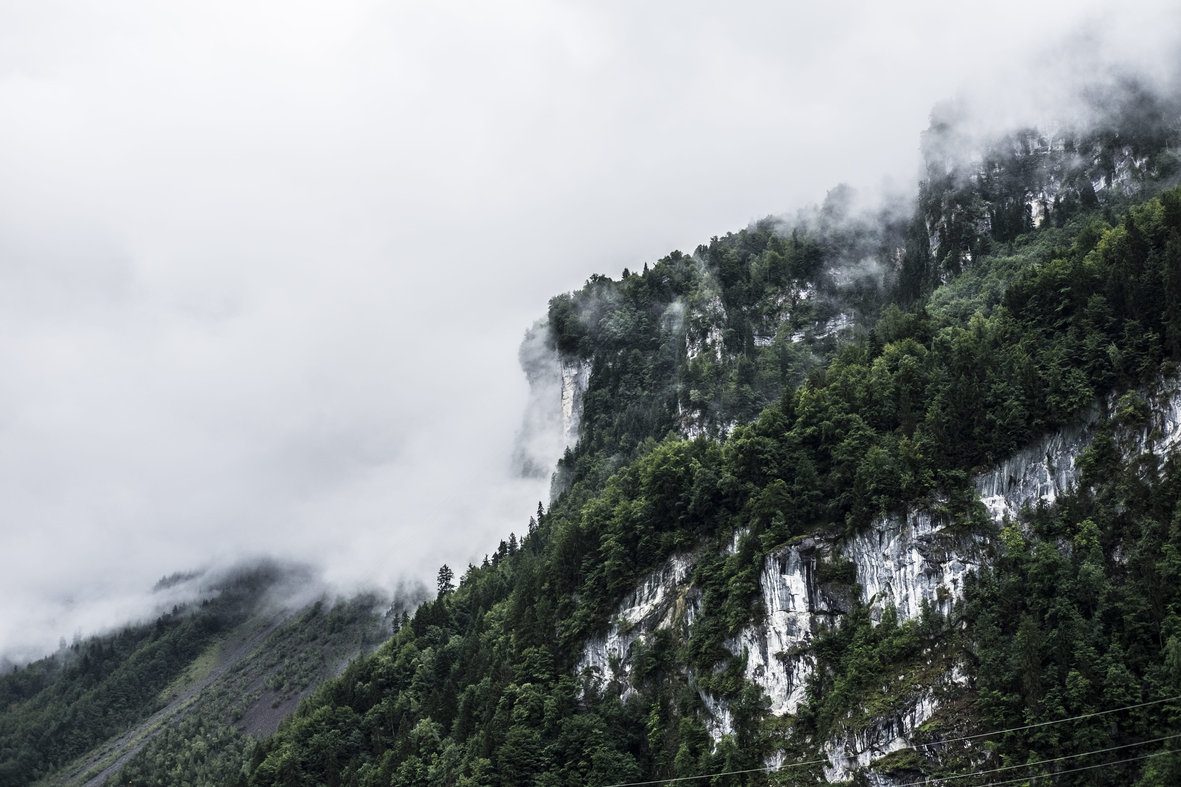 outdoors, day, no people, swiss, trees, low angle view, switzerland, beauty in nature, tranquility, tree, berge, sky, environment, schweiz, mountain peak, HD Wallpaper