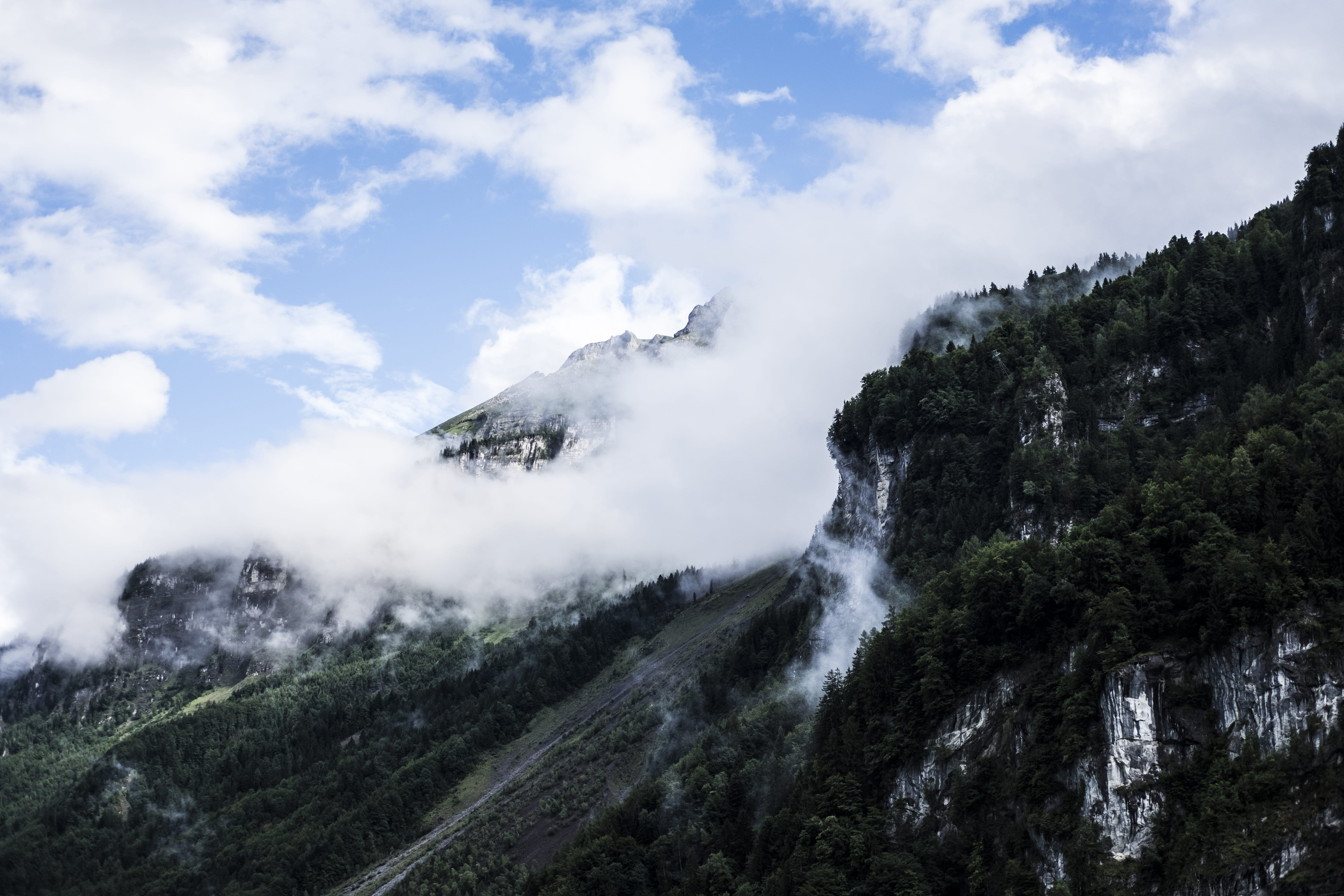 mountain, brienz, trees, beauty in nature, plant, land, schweiz, motion, wind, tranquil scene, 4K, nature, tree, fog, no people, siwss, geology, non-urban scene, HD Wallpaper