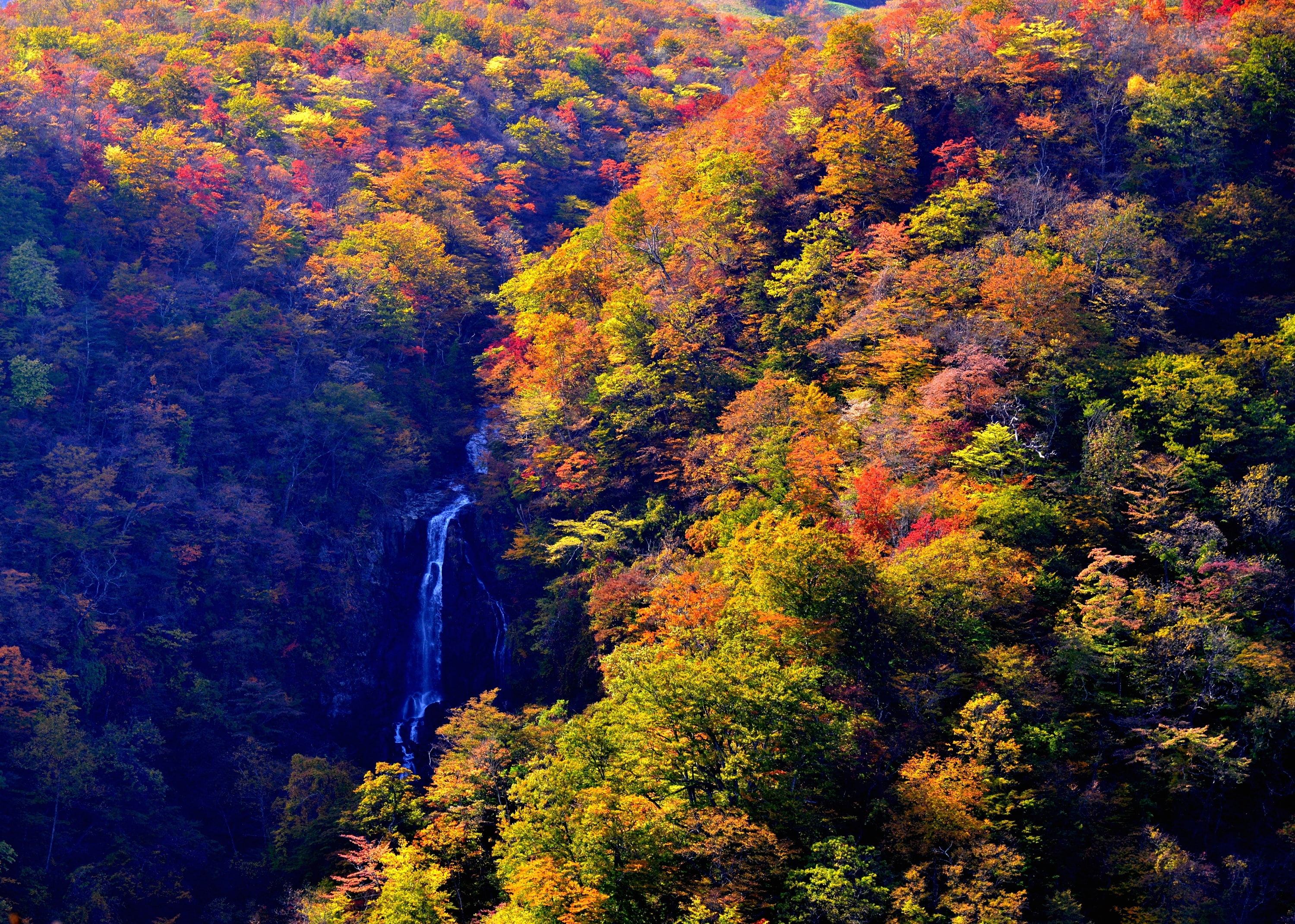 Japan, 2K, Zao Onsen, autumn, forest, waterfall, the sun, the view from the top, Yamagata, stream, trees, HD Wallpaper