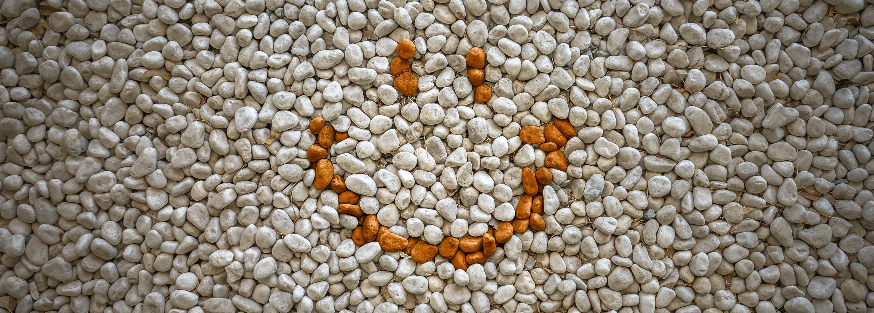 smile, day, abundance, close-up, 2K, heap, pattern, stones, still life, directly above, background, stone, animal, gravel, no people, usd, brown, circle, HD Wallpaper