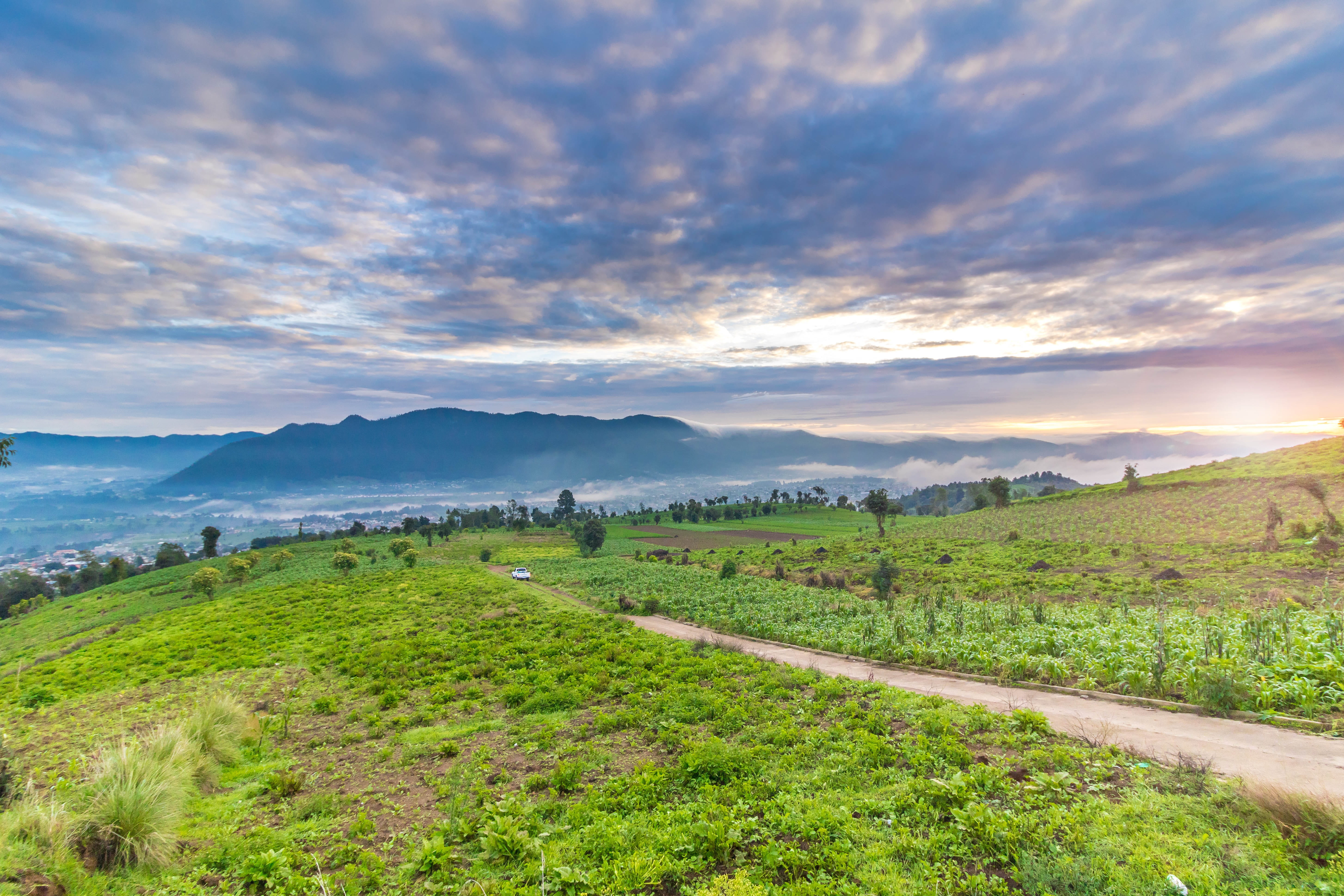 land, tranquility, green color, scenics - nature, growth, grass, san mateo, mountain range, no people, 5K, sky, field, guatemala, plant, nature, beauty in nature, HD Wallpaper
