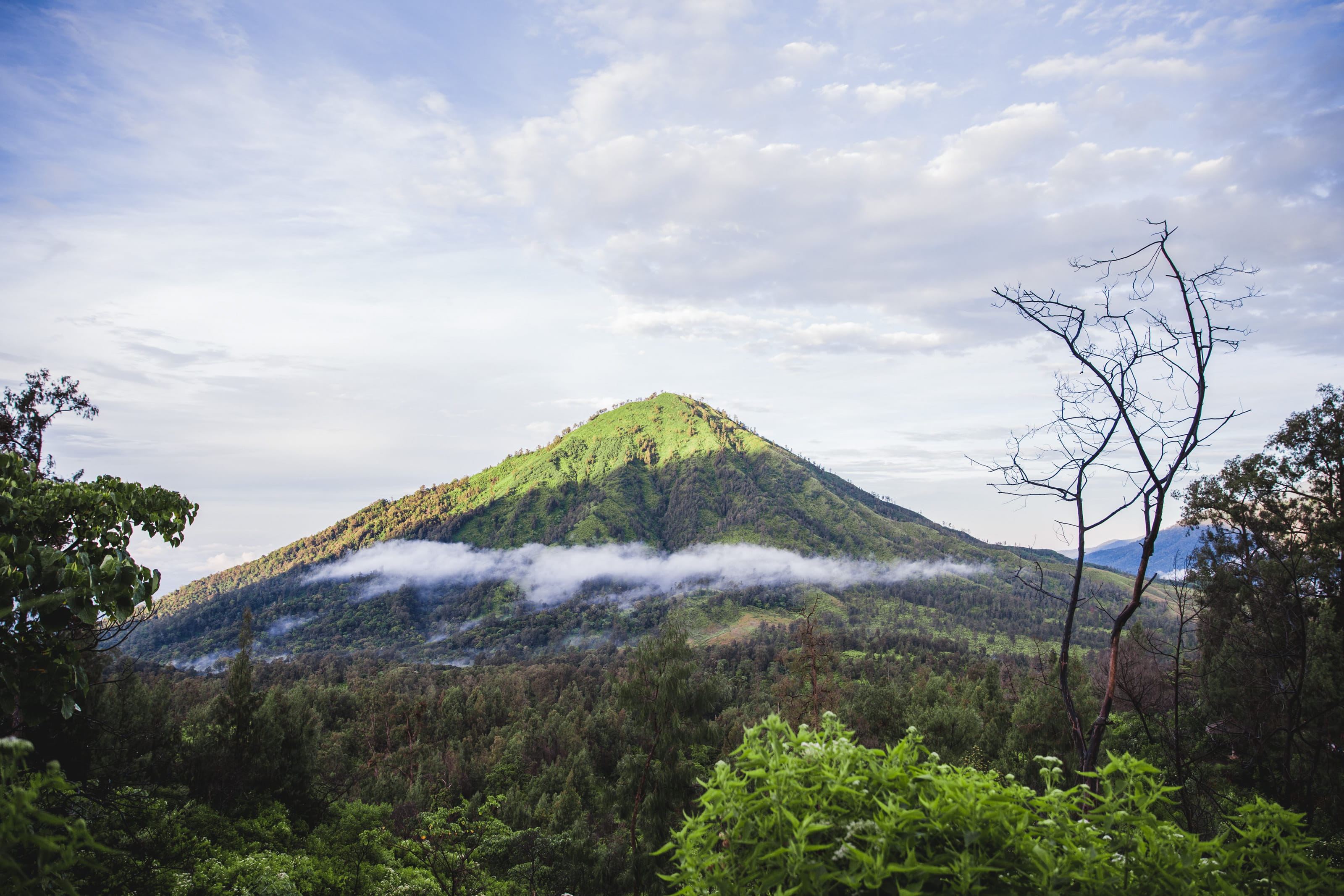 rural, remote, sunrise, green color, central-america, background, cloud - sky, spring, rock, beauty in nature, landscape, blue, cloudscape, forest, grass, HD Wallpaper