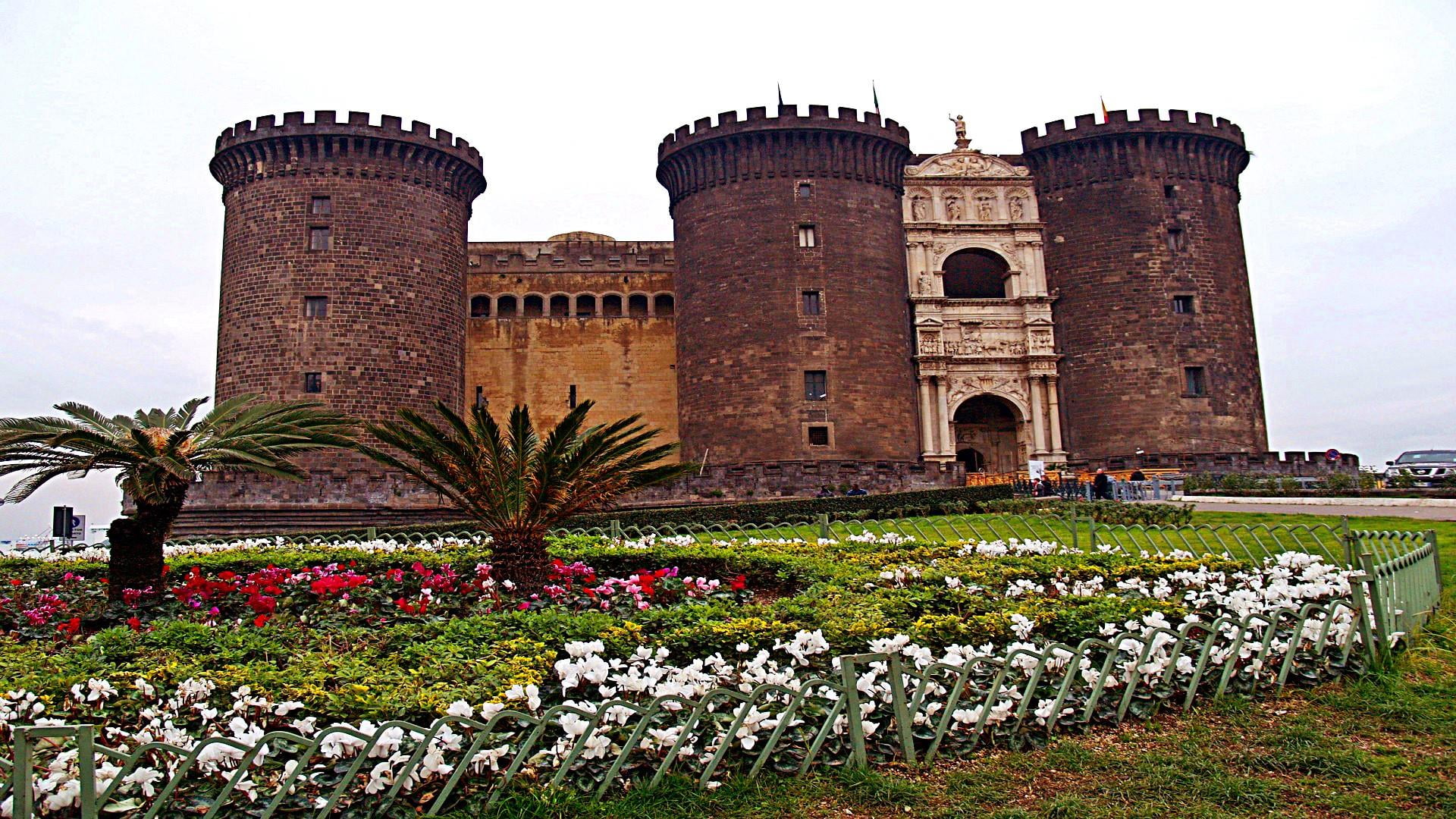 building, maschio angioino castle, flower, europe, architecture, nature, ornamental garden, italy, travel destinations, park, flowering plant, sky, ancient, HD Wallpaper