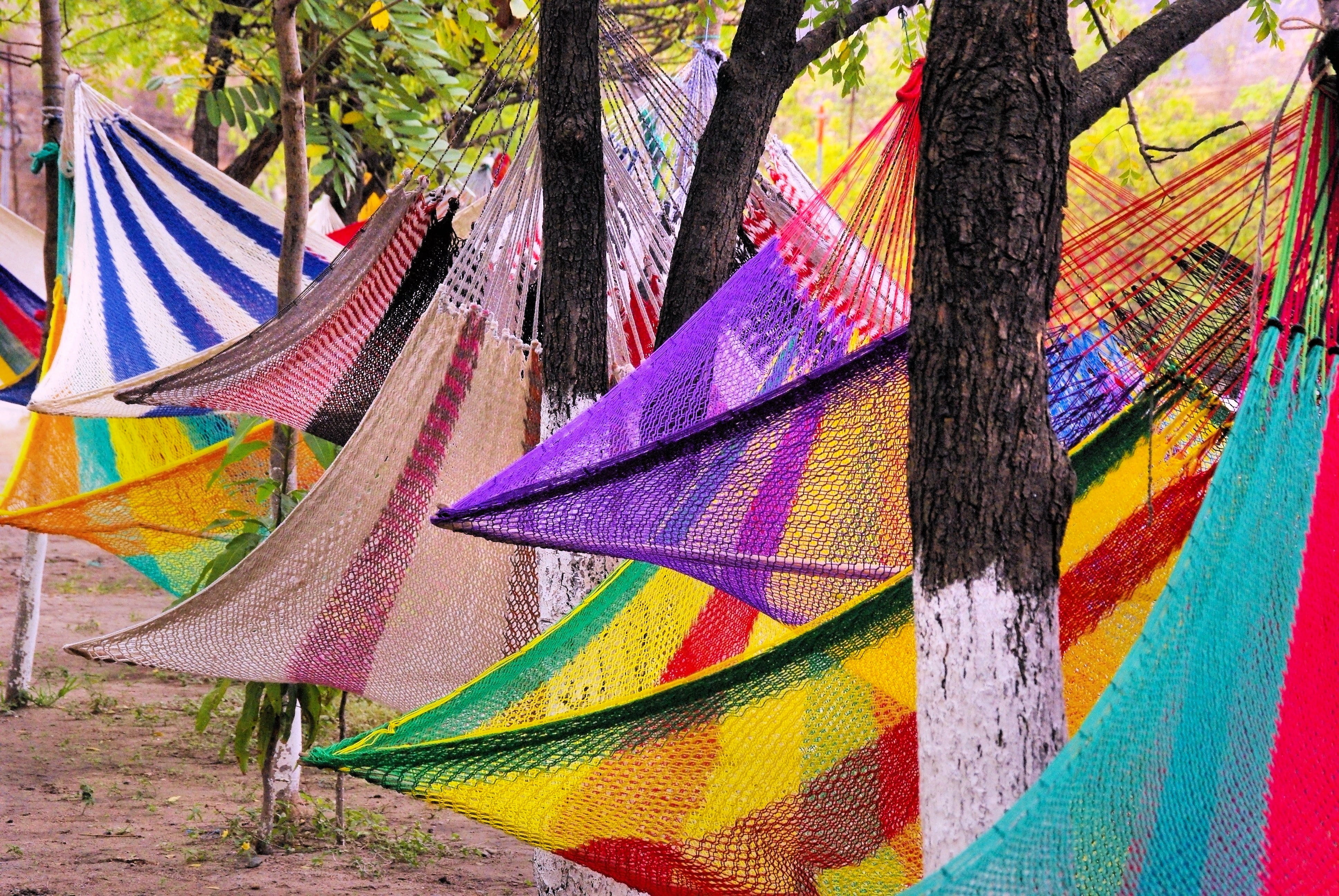 tree, hammock, day, textile, sunlight, trees, choice, color, assorted, plant, craft, decoration, tree trunk, flag, knit, art and craft, creativity, hanging, HD Wallpaper