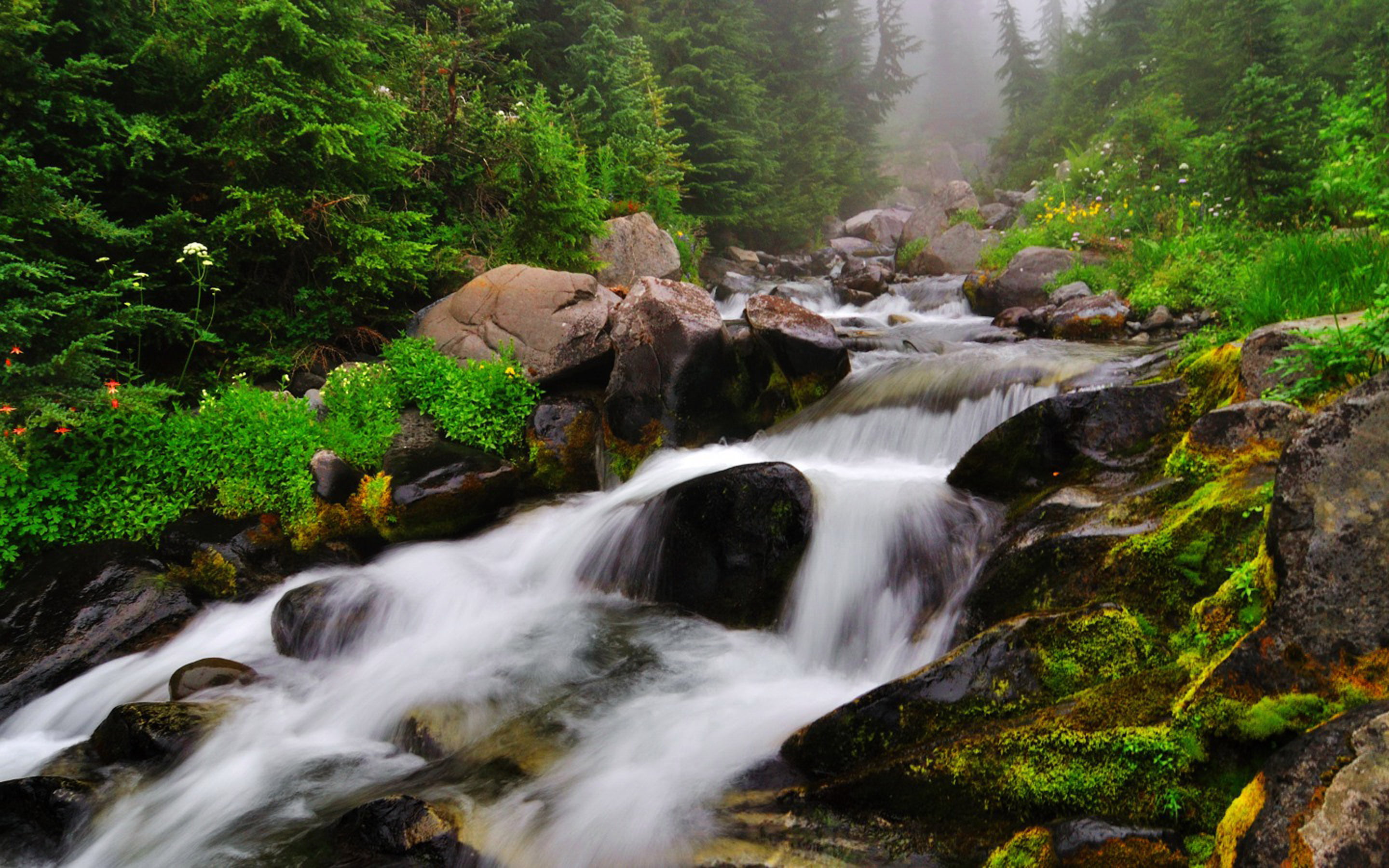 green, rock, solid, plant, scenics - nature, desktop, growth, long exposure, no people, motion, backgrounds, beauty in nature, fast, rock - object, streamrocksmountain, HD Wallpaper