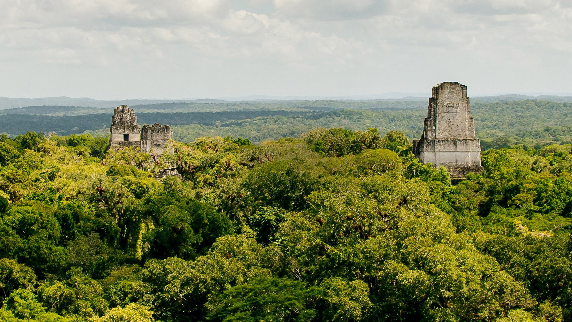 clouds, nature, forest, 1080P, far view, Guatemala, sky, ruins, trees, rainforest, landscape, ancient, HD Wallpaper